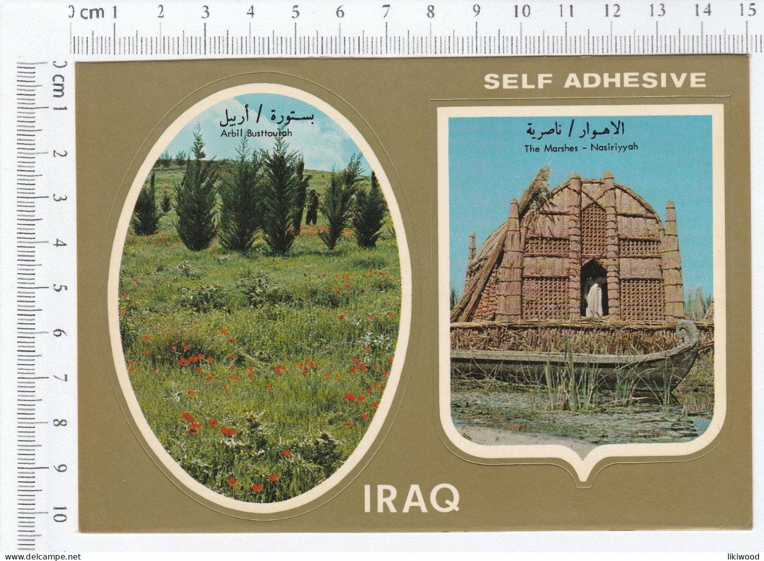 Iraq, Arbil Busttourah, The Marshes-Nasiriyah - Iraq