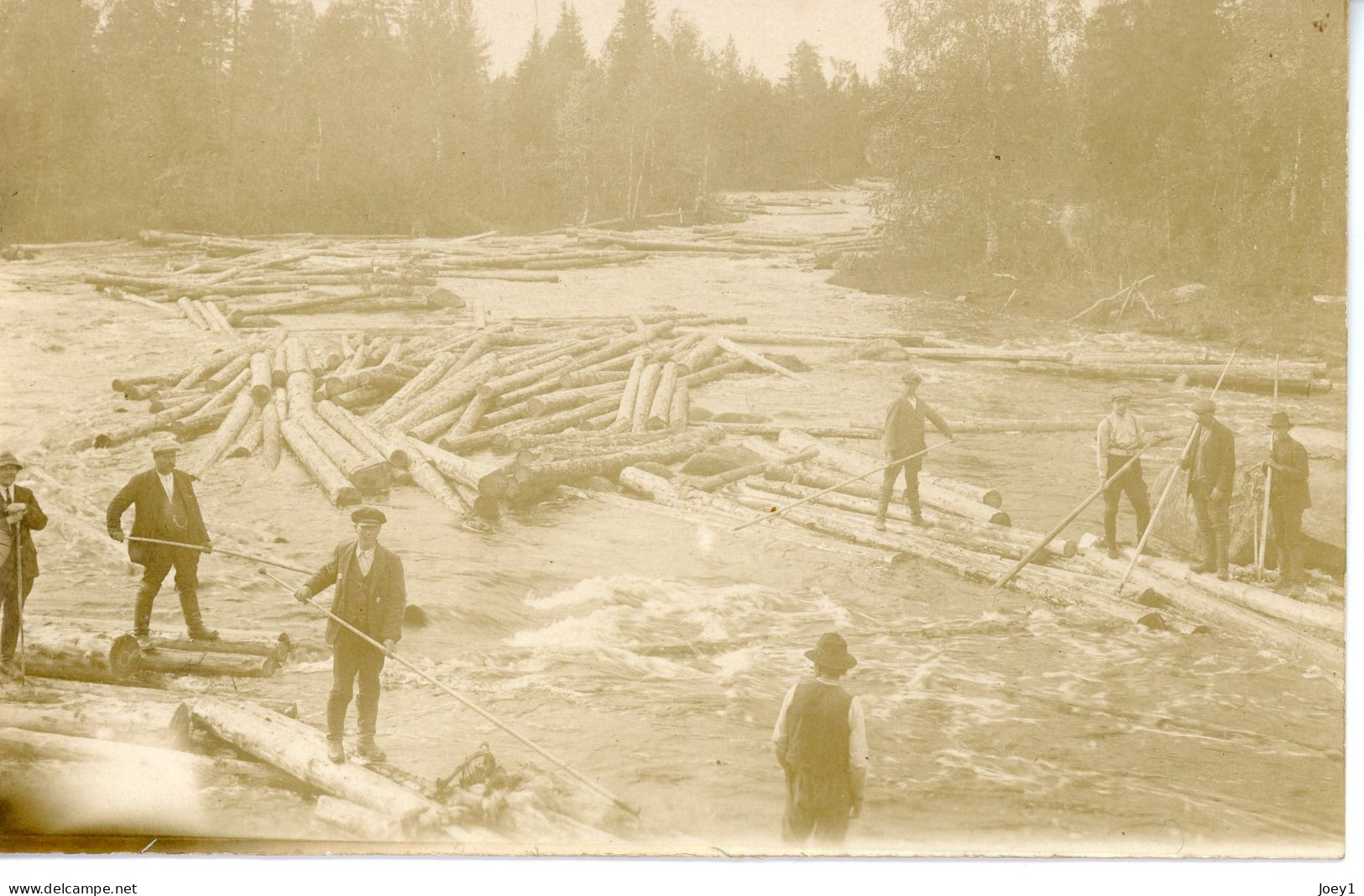 Photo Bucheron Sur L'eau, Pays Nordique, Format Carte Postale - Personnes Anonymes