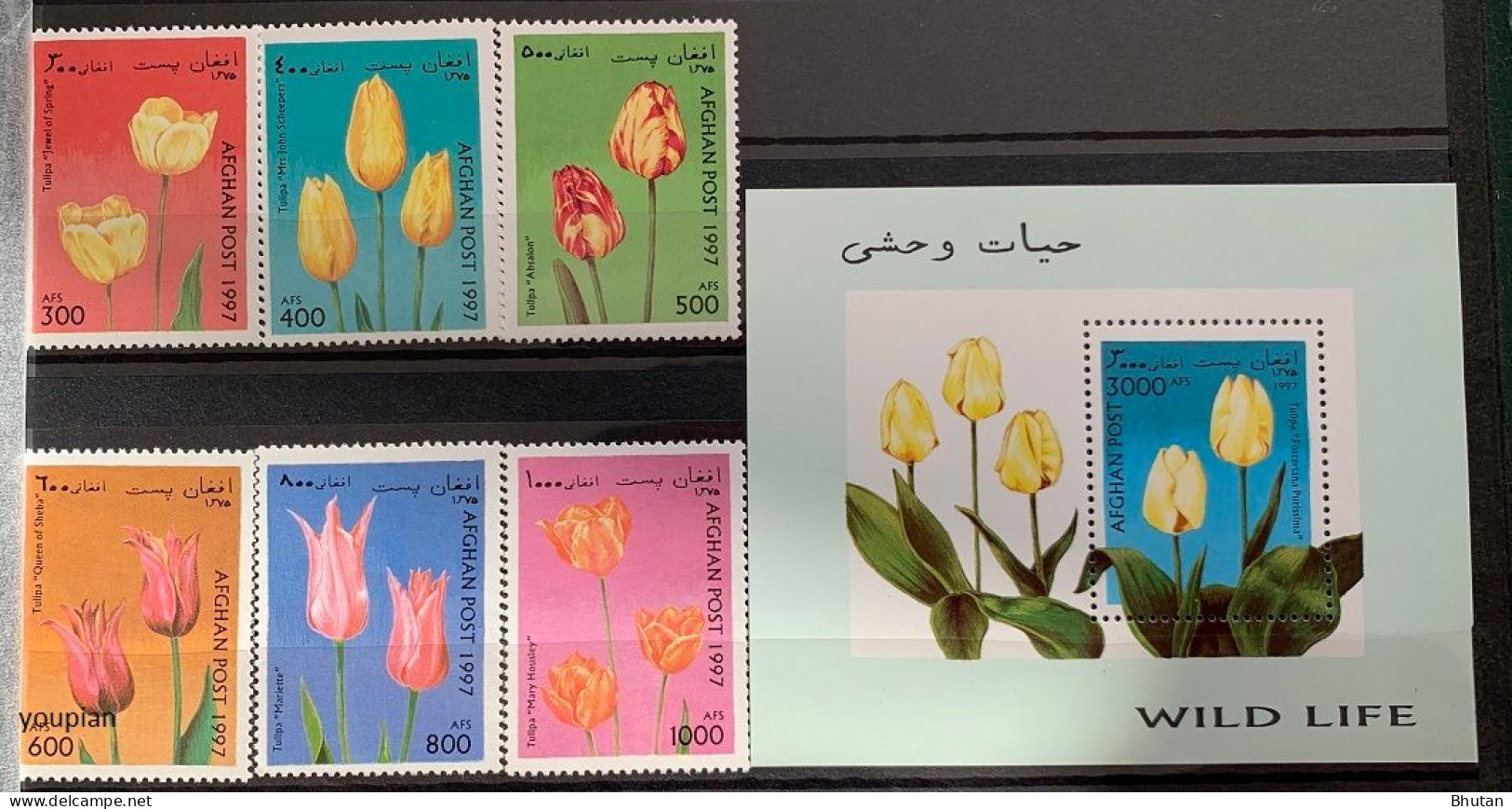 Afghanistan 1997, Tulips, MNH S/S And Stamps Set - Afghanistan