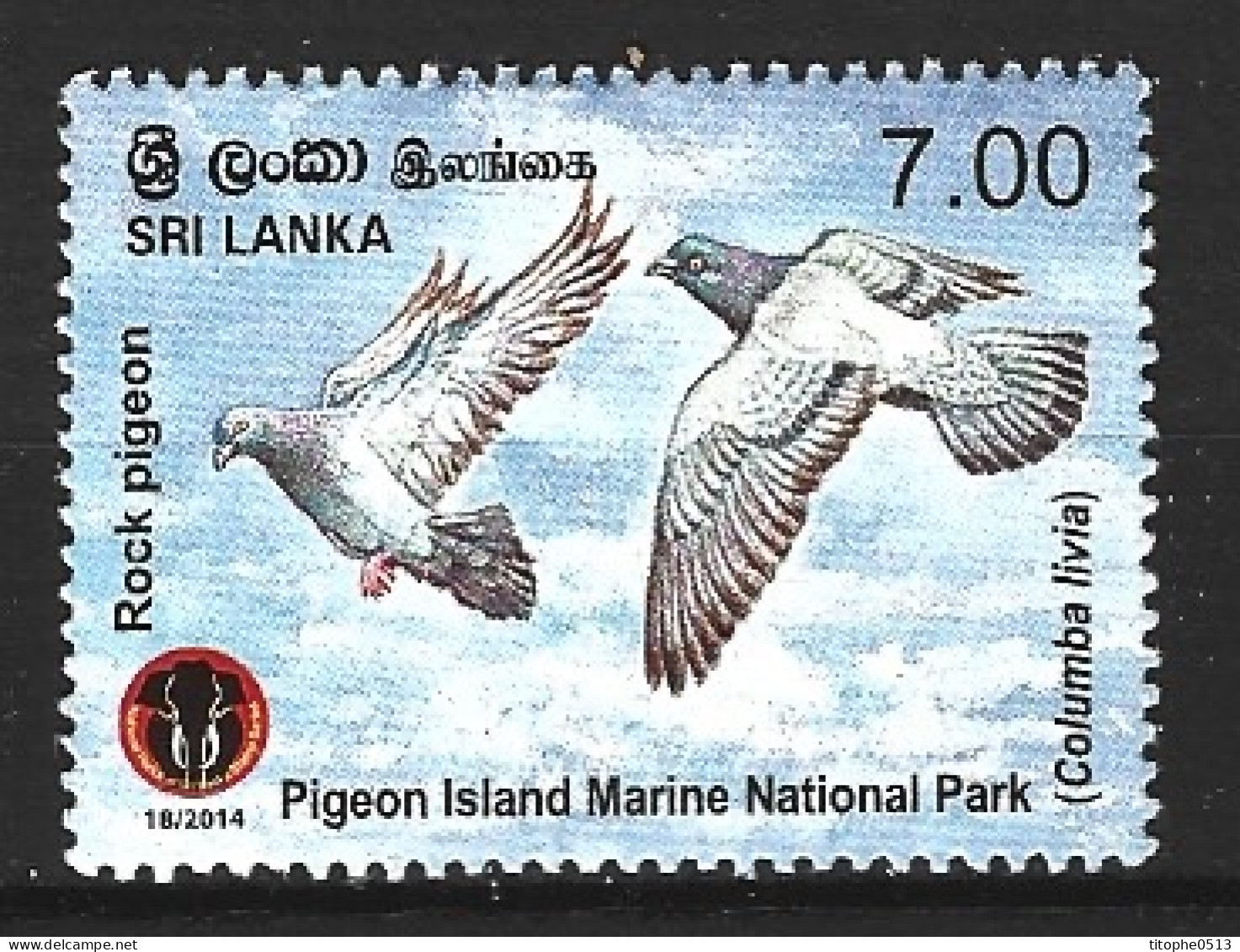 SRI LANKA. N°1946 De 2014. Pigeon. - Duiven En Duifachtigen