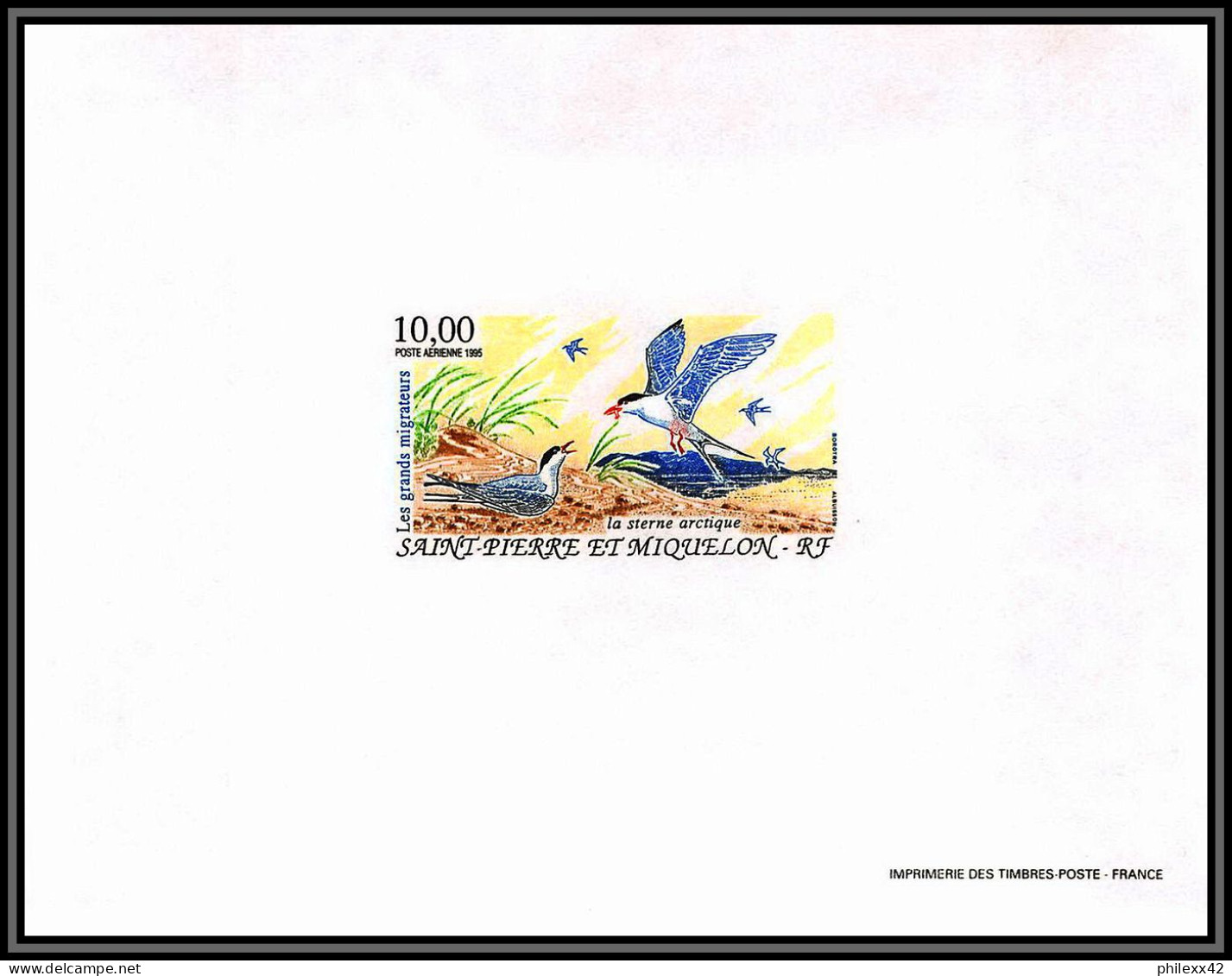 86233 PA N°74 Sterne Arctique Arctic Tern Oiseaux (birds) Bloc Feuillet Gommé RRR ** MNH Saint-Pierre Et Miquelon - Blocks & Sheetlets