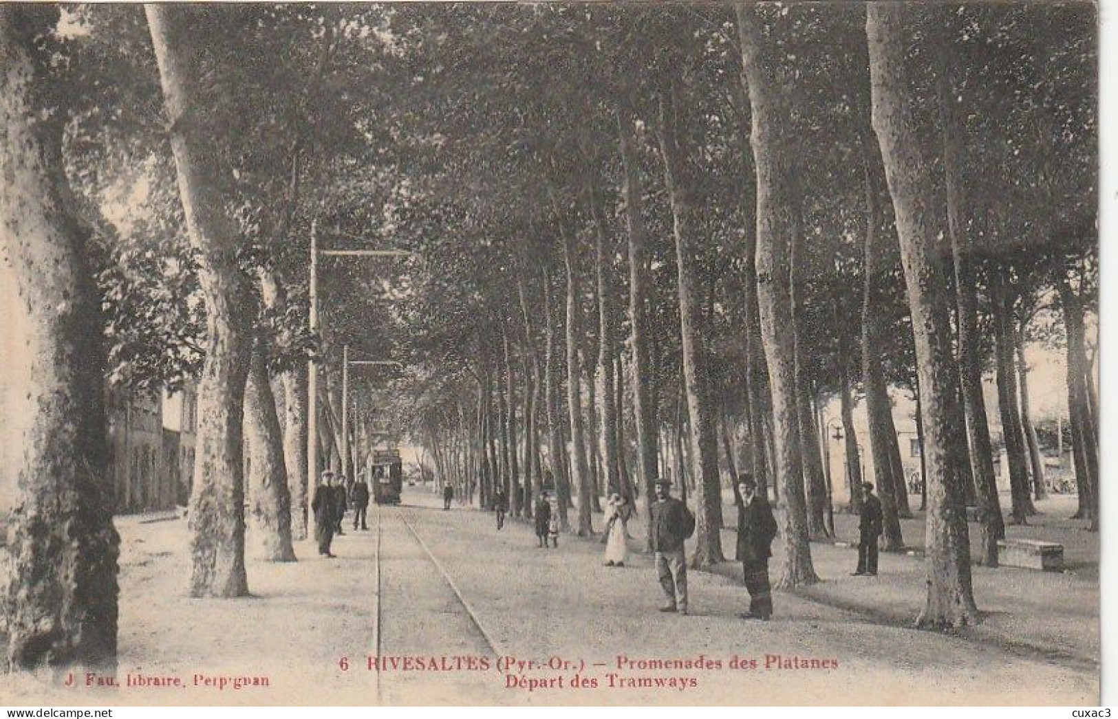66 - Rivesaltes - Promenades Des Platanes  Départ Des Tramways - Rivesaltes