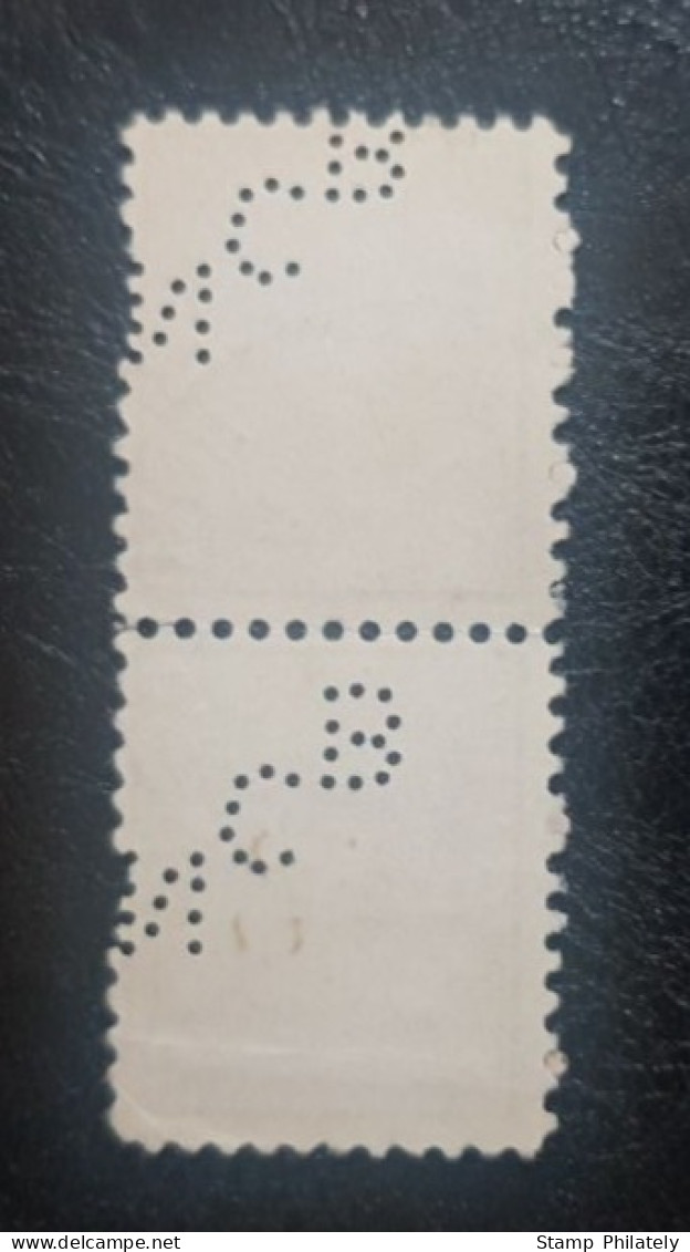 United States Pair Perfins Postmark Stamp - Perforés