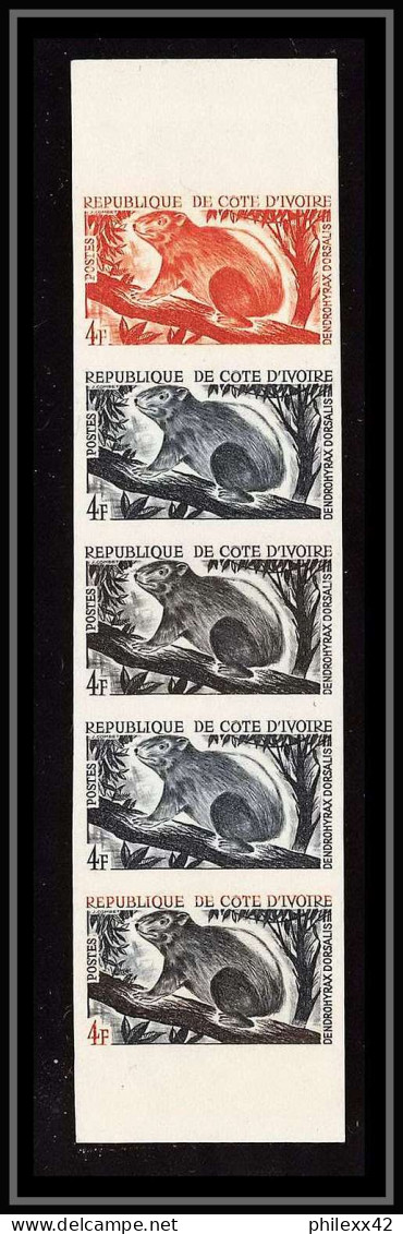 0936 - Cote D'ivoire Ivory - N° 213 Daman Des Arbres Marmotte Non Dentelé Imperf ** MNH Essais Proof Bande De 5 - Nager