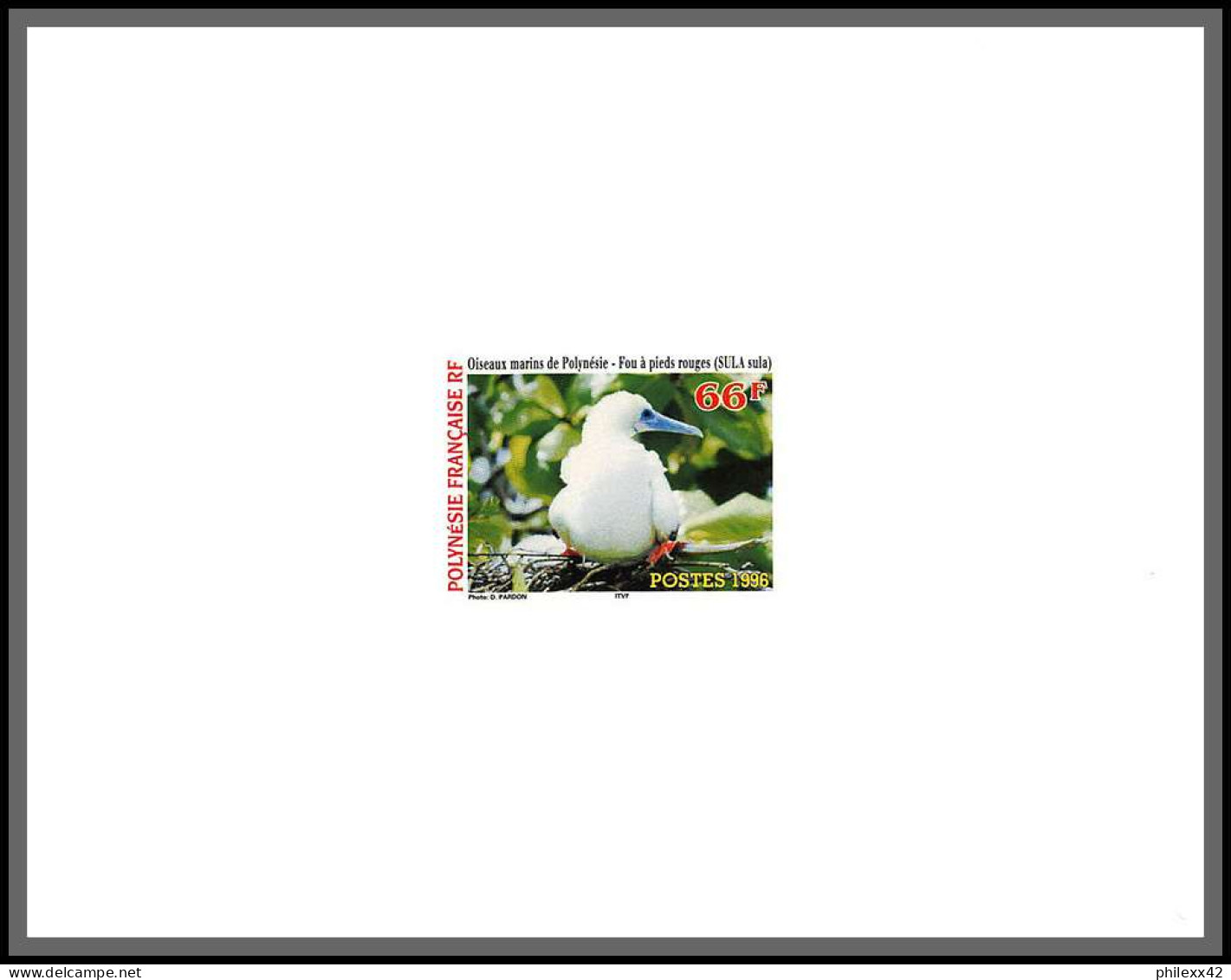 2176/ Polynésie N°510/512 Oiseaux Birds Fou à Pieds Rouges Sula Fregate Fregata  Lori Noddi 1996  épreuve Deluxe Proof  - Sin Dentar, Pruebas De Impresión Y Variedades