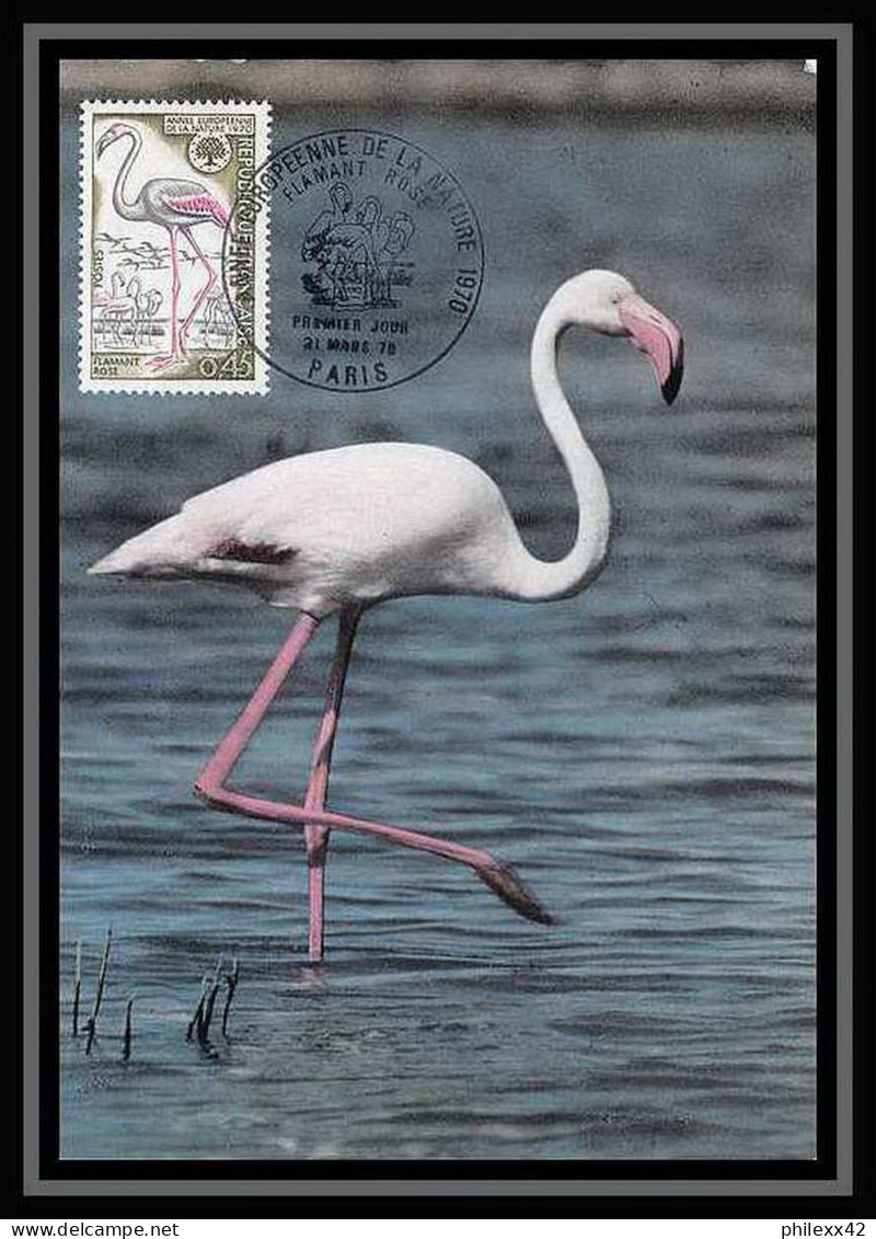 2447/ Carte Maximum (card) France N°1634 Flamant Rose Oiseaux (birds) Edition Parison 1970 Fdc Premier Jour - Storks & Long-legged Wading Birds