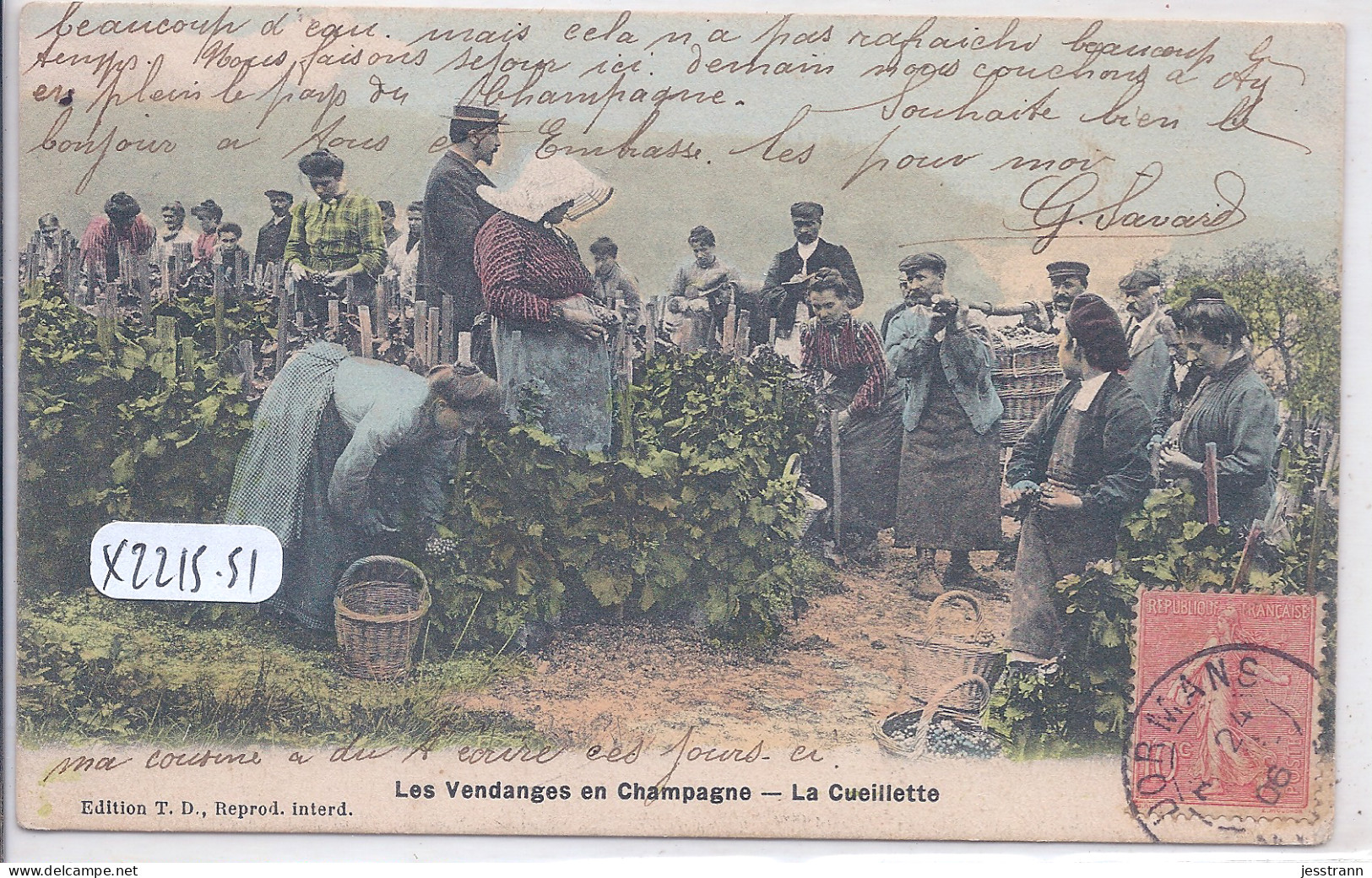 CHAMPAGNE- LES VENDANGES- LA CUEILLETTE- BELLE CARTE COLORISEE - Champagne-Ardenne