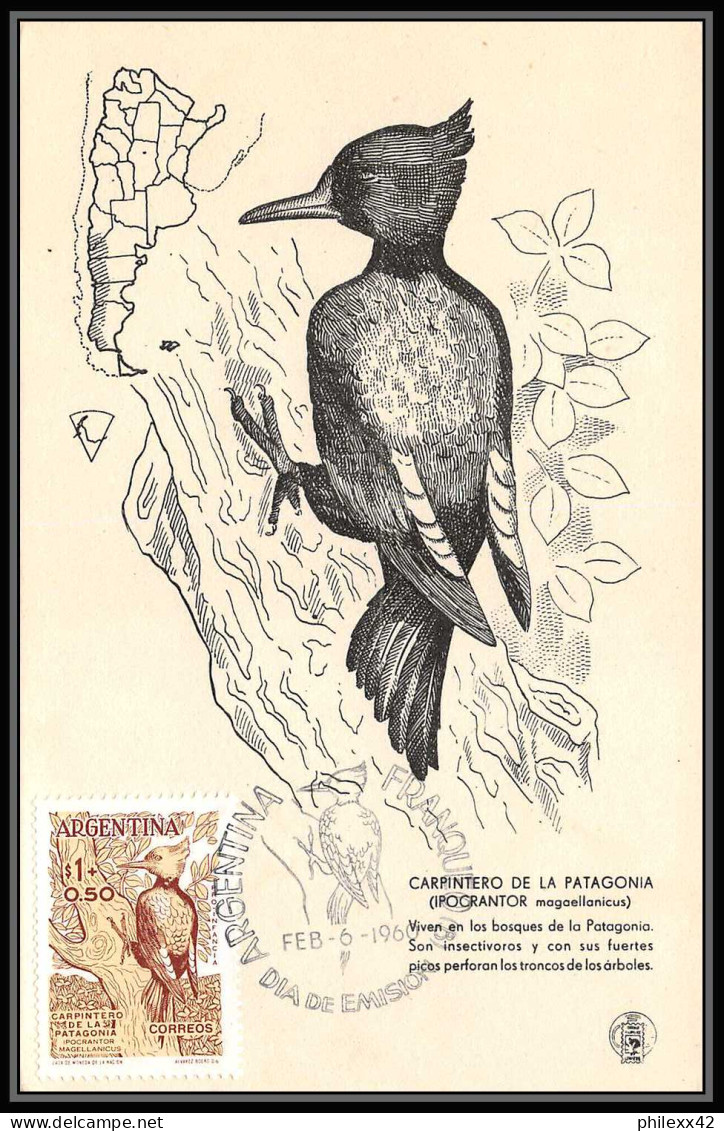 3567 Argentine (Argentina) Carte Maximum (card) Pic Vert Woodpecker Carpintero De Patagonia Fdc 6/2/1960 - Spechten En Klimvogels