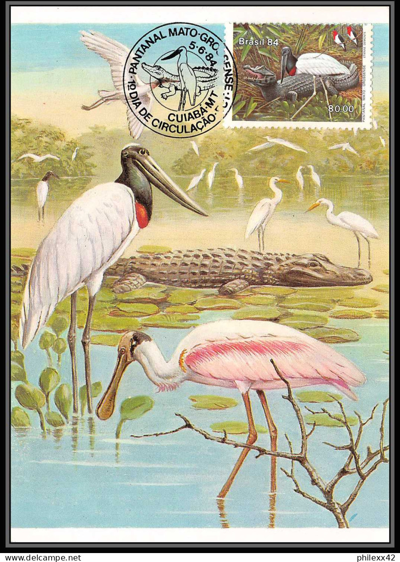 3585 Brésil (brazil) - Carte Maximum (card) Faune Animals 4 Cartes Apes Leopard Oiseaux Flamant Rose (birds) 1984 - Maximumkarten