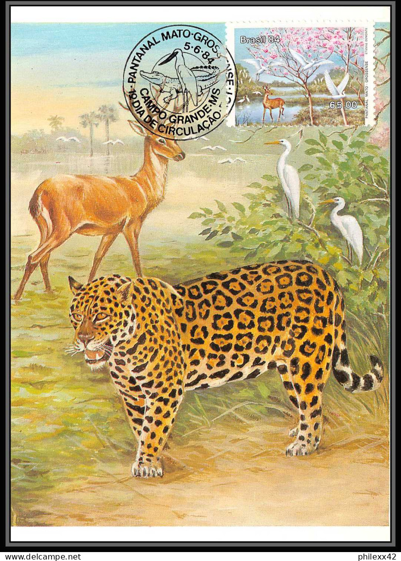 3585 Brésil (brazil) - Carte Maximum (card) Faune Animals 4 Cartes Apes Leopard Oiseaux Flamant Rose (birds) 1984 - Cartes-maximum