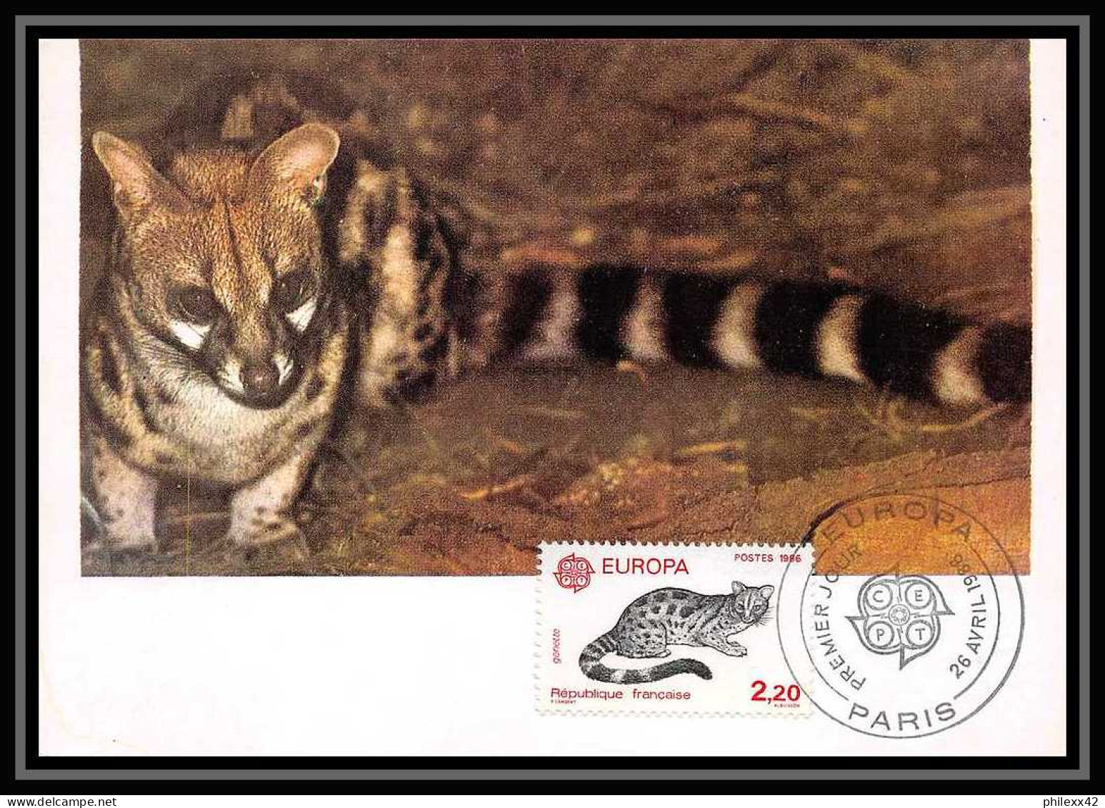 4185/ Carte Maximum (card) France N°2416 Europa 1986 Faune Animals Genette Paris édition Farcigny Fdc 1986  - Rodents
