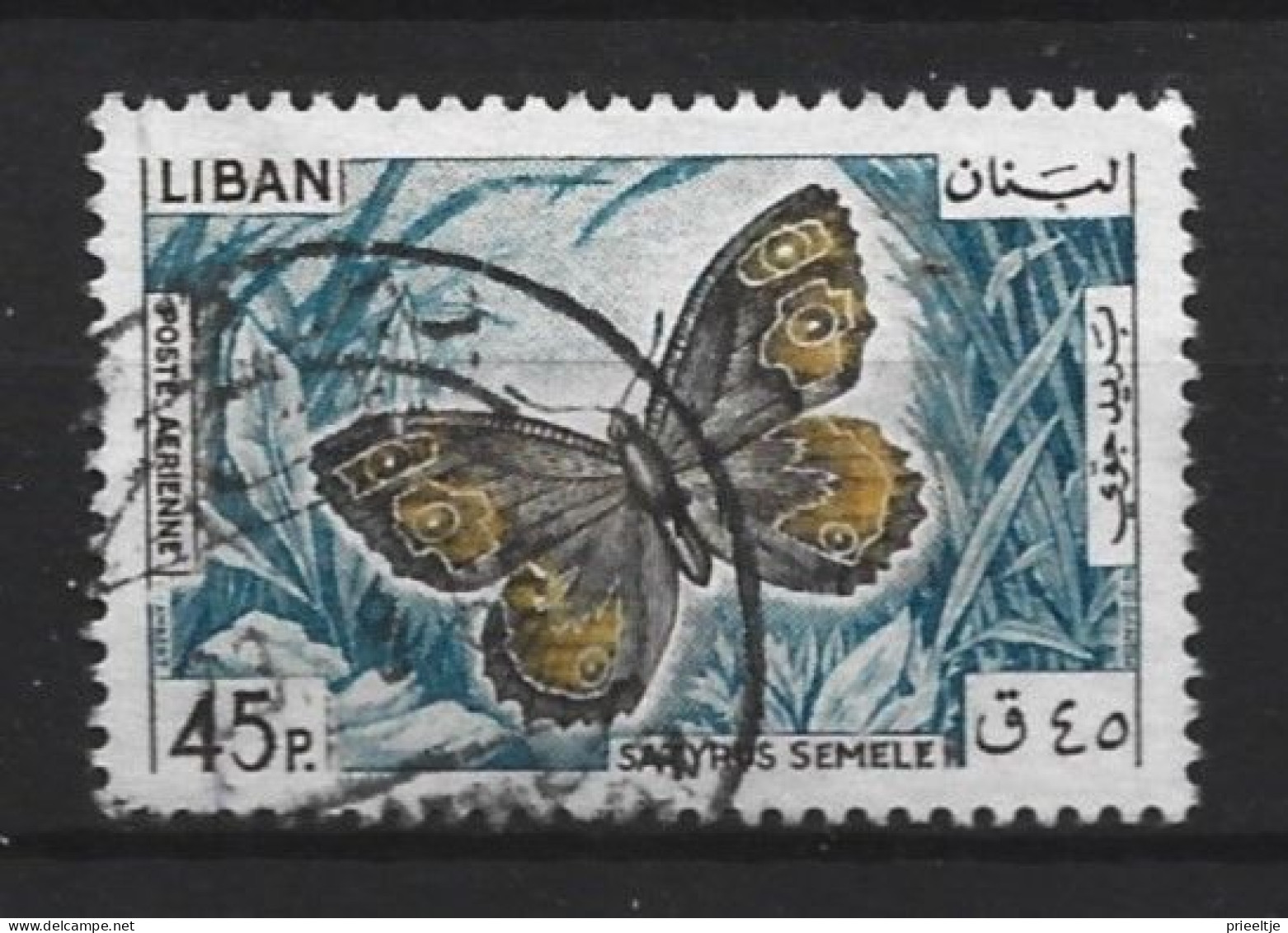 Liban 1965 Butterfly  Y.T. A335 (0) - Liban