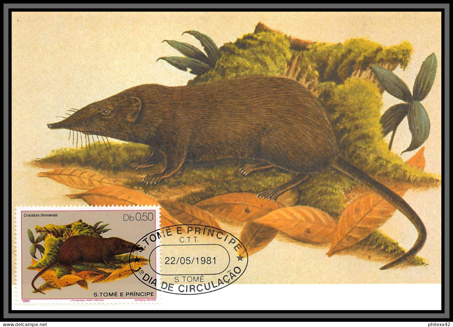 5846 Carte Maximum Card S Tome E Principe Mi 373/678 Yt 620/625 Rongeurs Rodents 1981 Animaux Animals Chauve Souris Fdc - Rodents