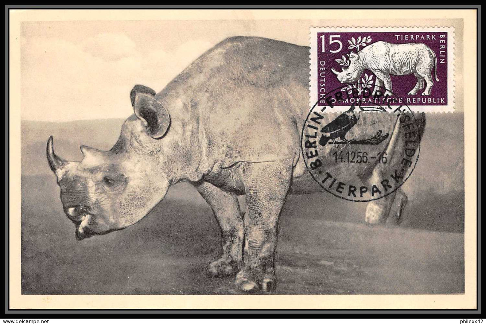 Allemagne (germany) Ddr  - Carte Maximum (card) 2251 RHINOCEROS 1956 Nashorner - Rhinocéros