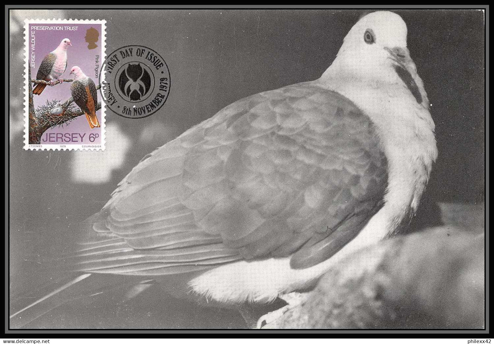 Jersey - Carte Maximum (card) 2230 PINK PIGEON Dove Oiseaux (bird Birds Oiseau) Fdc 1979 - Columbiformes