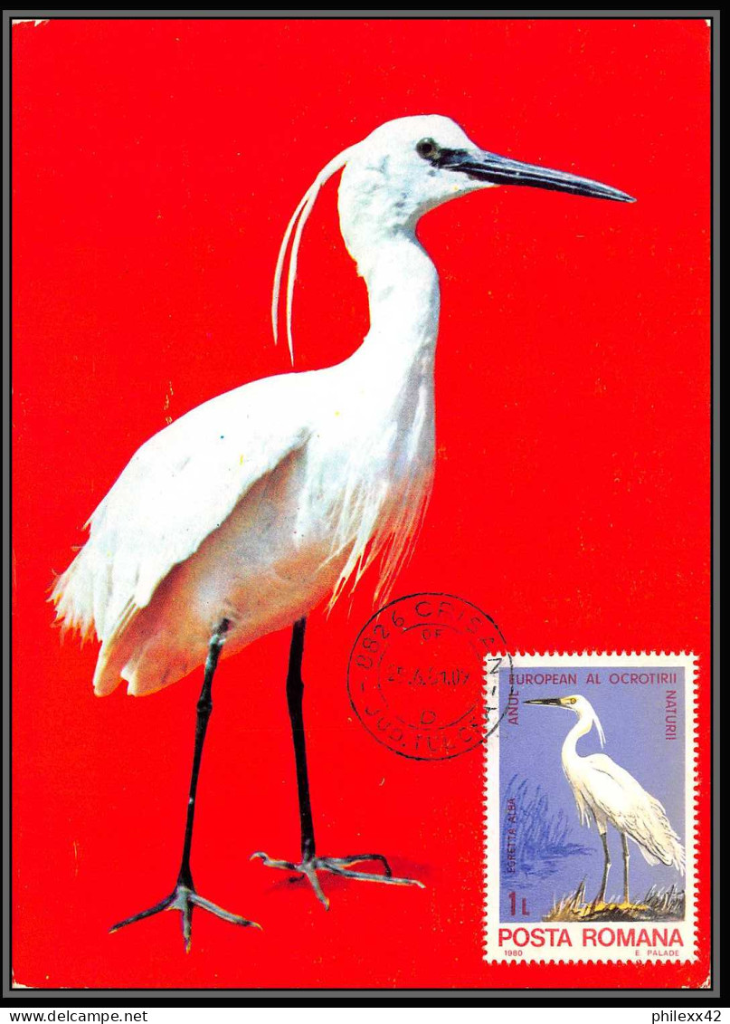 Roumanie (Romania) - Carte Maximum (card) 2216 Oiseaux (bird Birds Oiseau) Aigrette Egretta 1980 - Kranichvögel