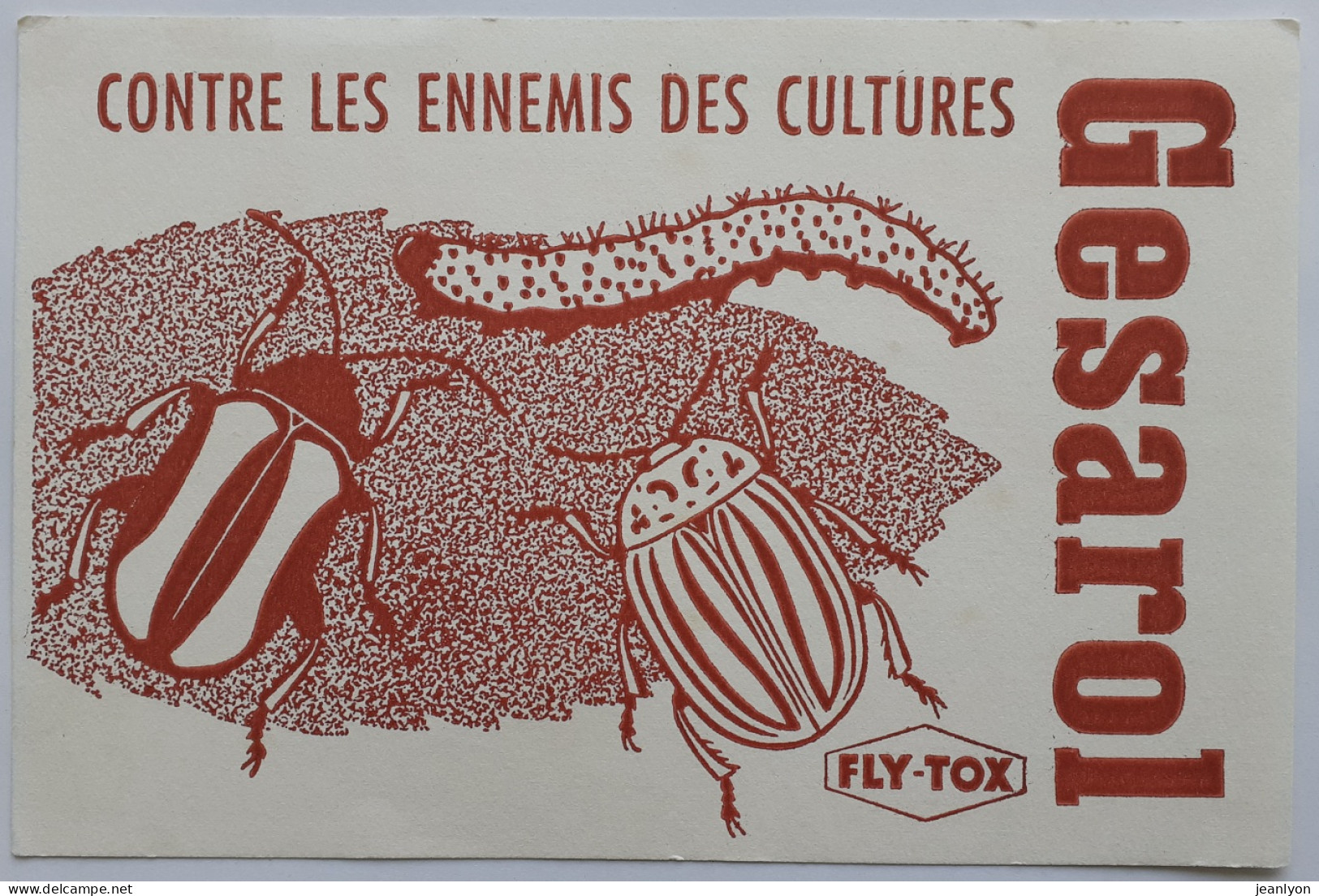 INSECTES / VER - Produit Contre Les Ennemis Des Cultures - Buvard Publicitaire GESAROL FLY-TOX - Animales