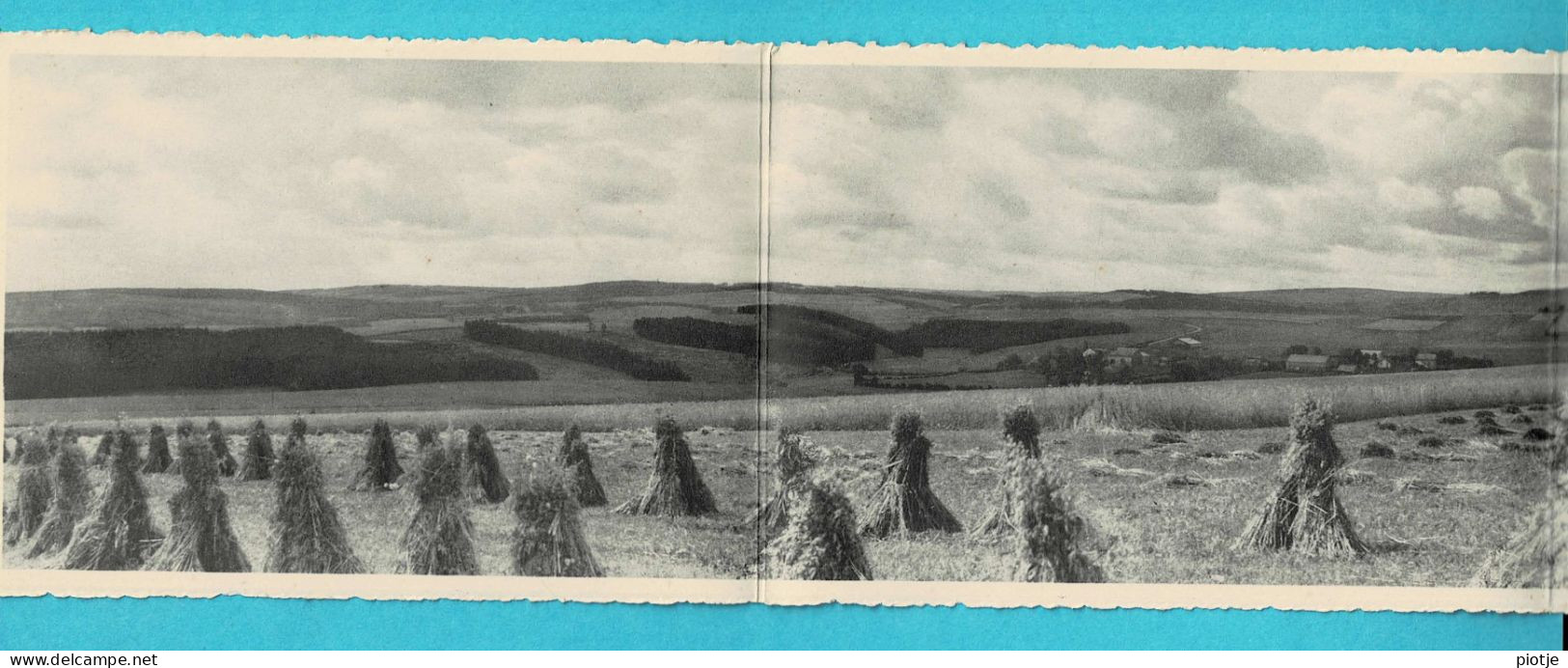 * Grand'Garde (Cens - Tenneville - Luxembourg - La Wallonie) * (Nels) Carte Triple - Triptyque, Panorama, Vue Générale - Tenneville