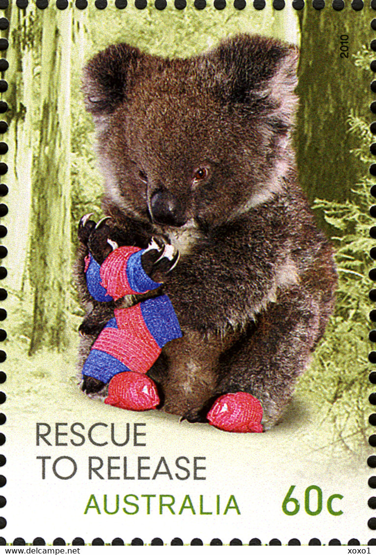 Australia 2010 MiNr. 3471 - 3476 Animals Bats Birds Owls WILDLIFE CARING 6v  MNH** 8.40€ - Neufs