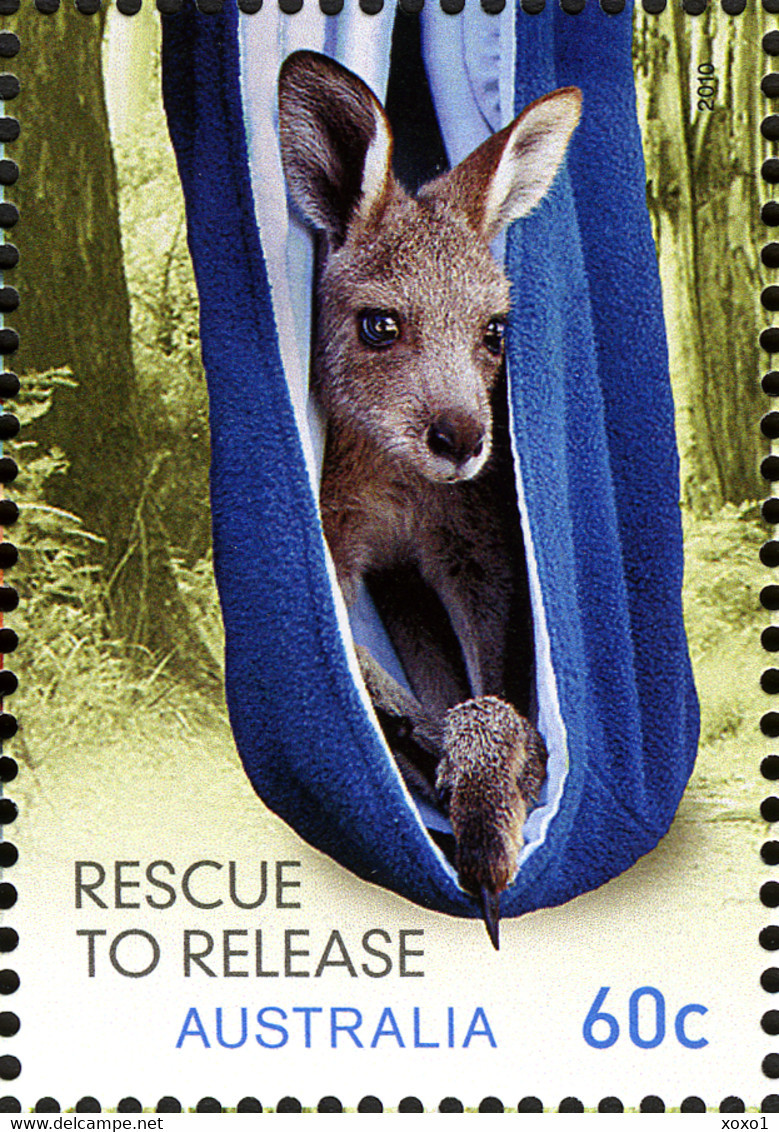 Australia 2010 MiNr. 3471 - 3476 Animals Bats Birds Owls WILDLIFE CARING 6v  MNH** 8.40€ - Mint Stamps