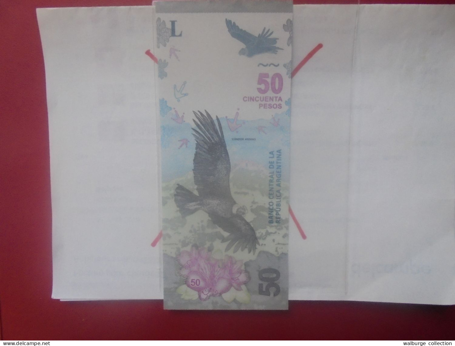 ARGENTINE 50 PESOS 2018 Neuf (B.32) - Argentine