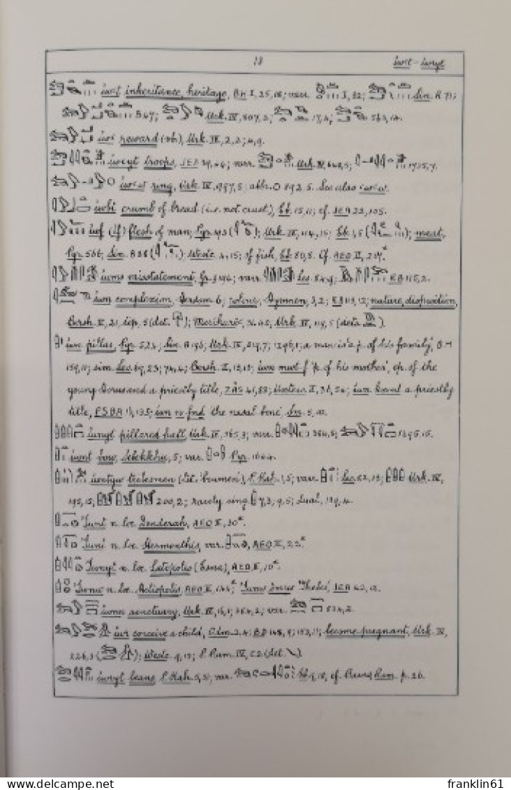 A Concise Dictionary Of Middle Egyptian. - Otros & Sin Clasificación