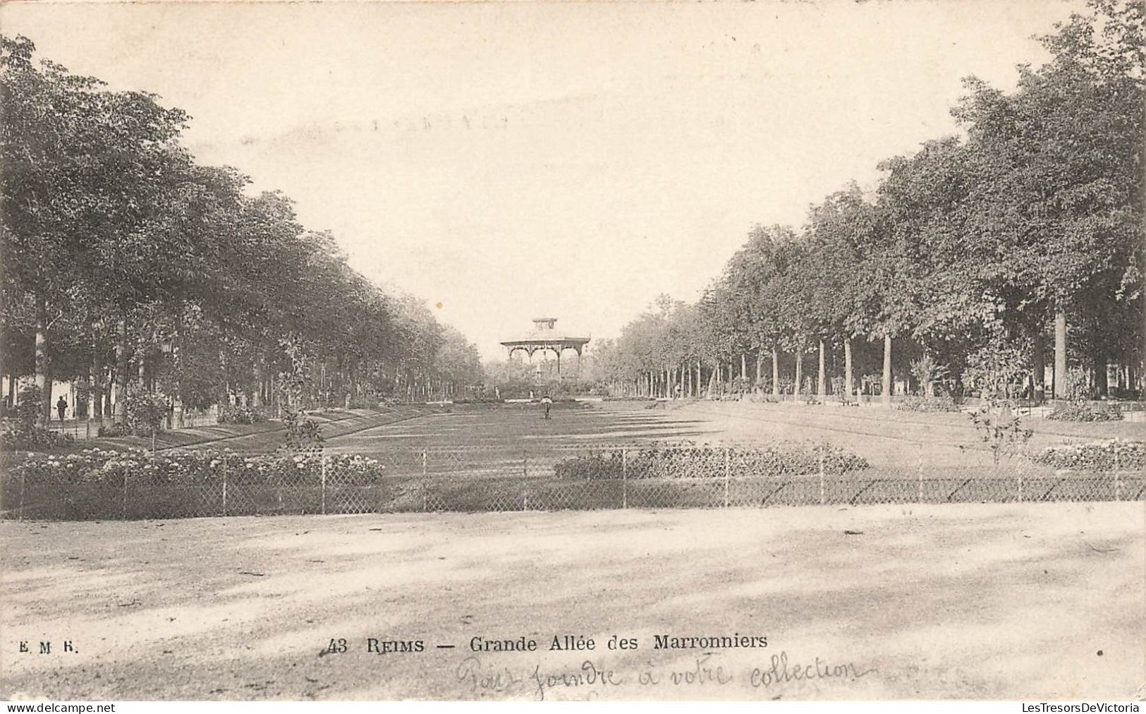 FRANCE - Reims - Grande Allée Des Marronniers - Carte Postale Ancienne - Reims