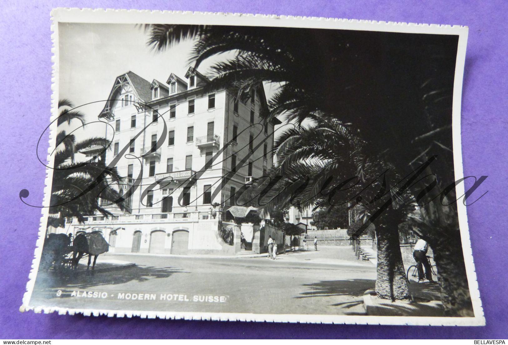 Allassio Modern Hotel Suisse  1950 Savona - Savona