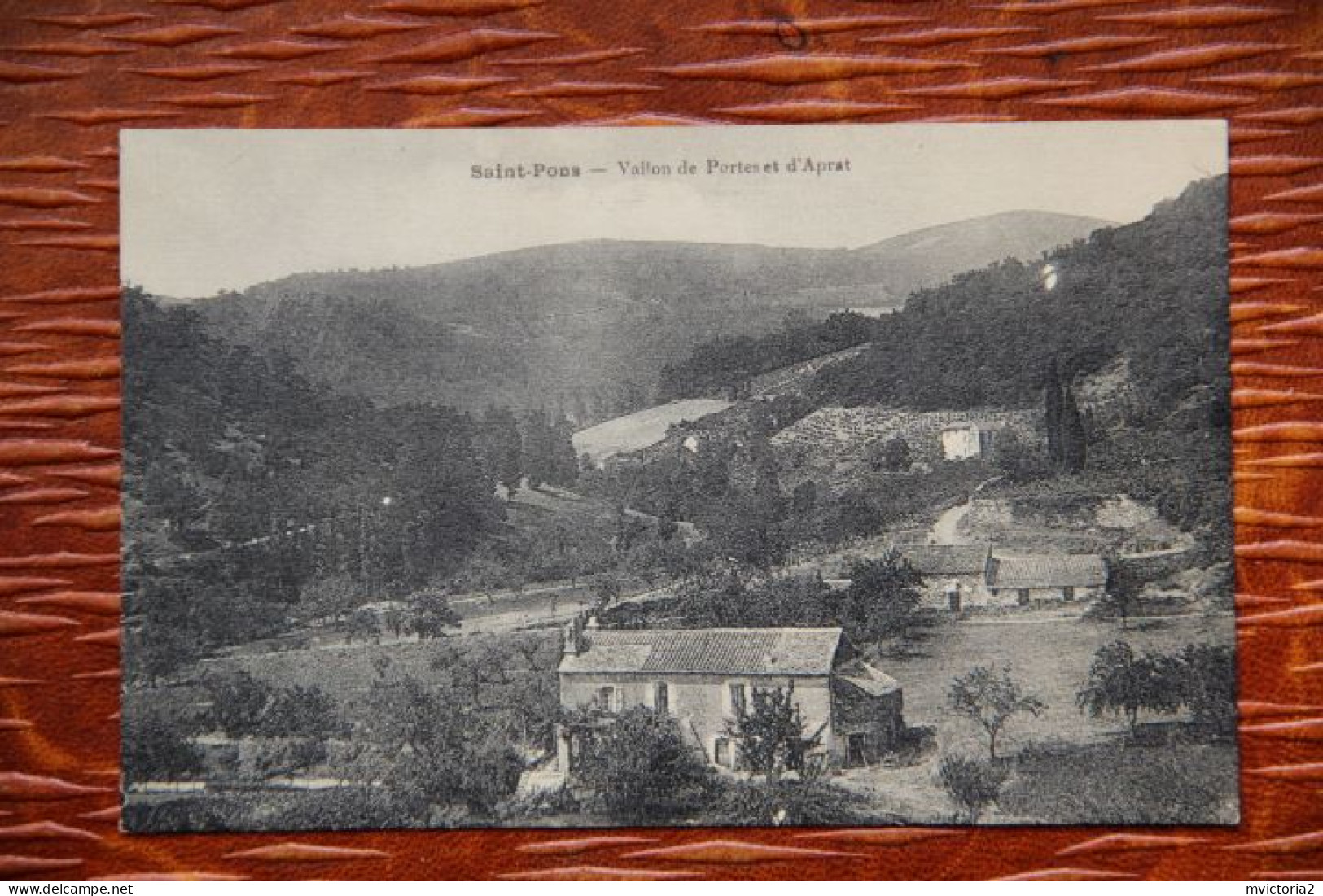 34 - ST PONS - Vallée De PORTES Et D'APRAT - Saint-Pons-de-Thomières