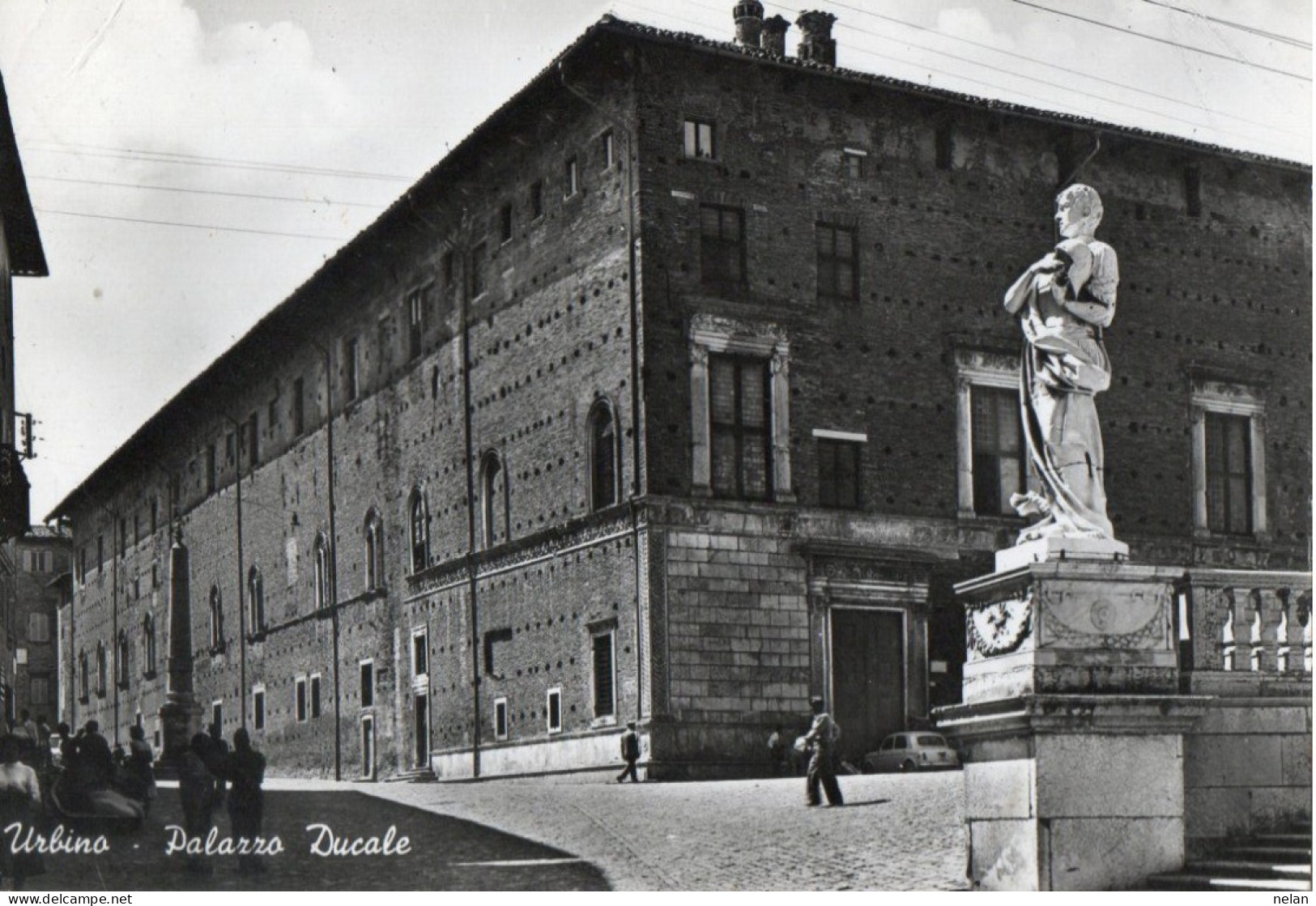 URBINO - PALAZZO DUCALE - F.G. - Urbino