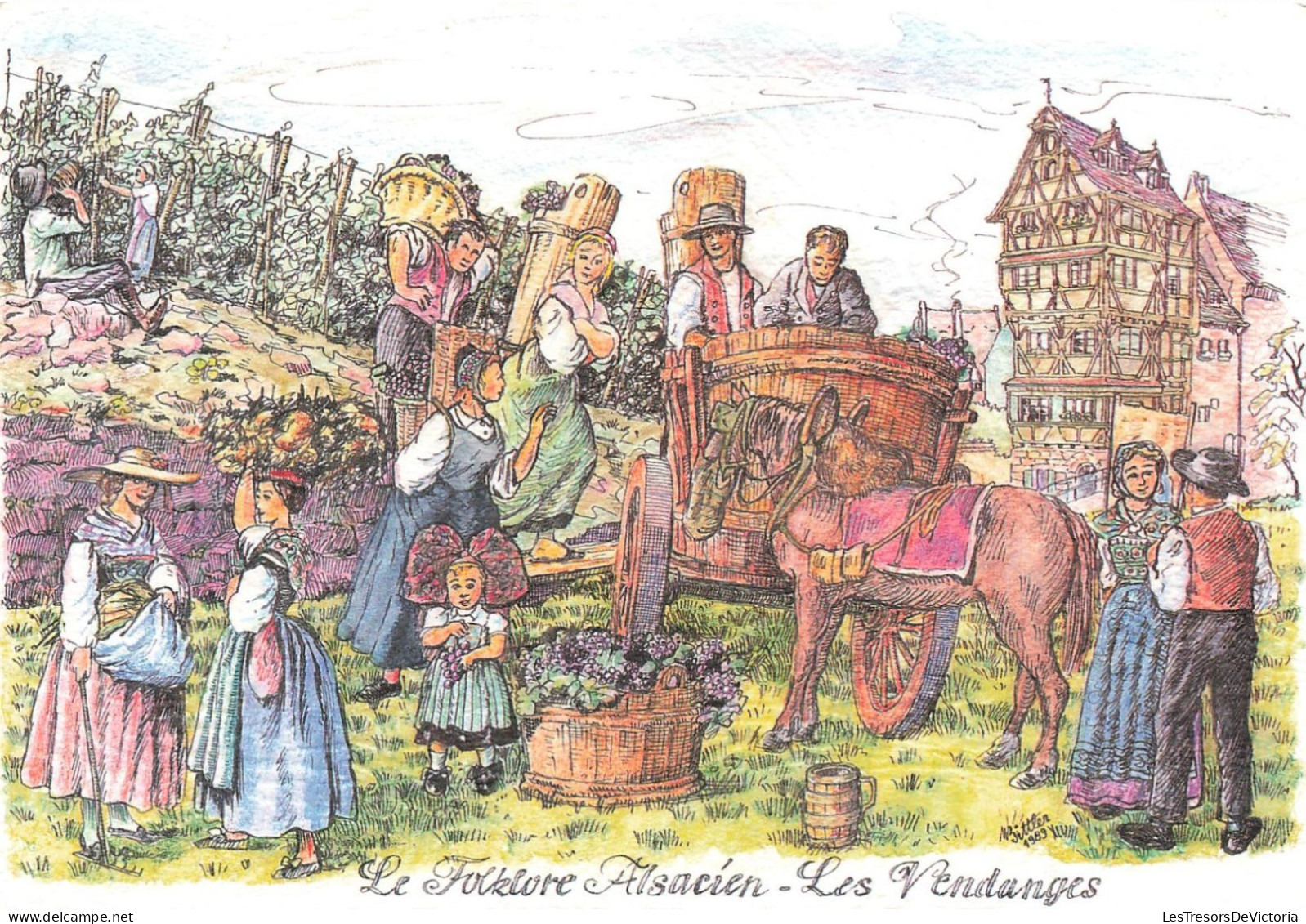 FOLKLORE - Le Folklore Alsacien - Les Vendanges - Paysans - Récolte - Carte Postale - Andere & Zonder Classificatie