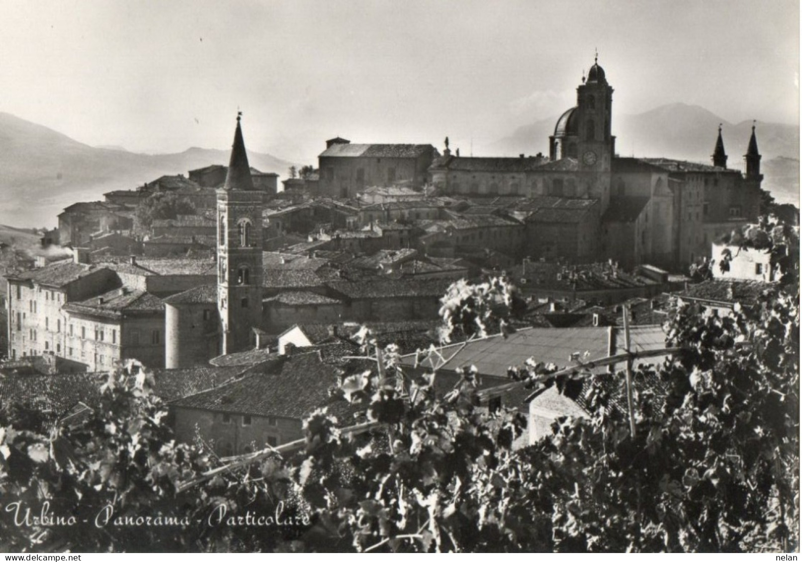 URBINO - PANORAMA - PARTICOLARE - F.G. - Urbino