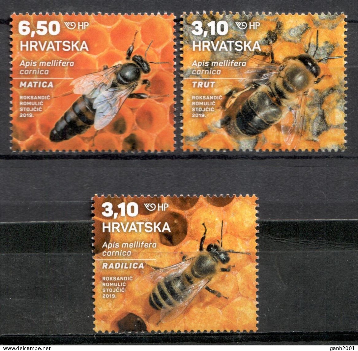 Croatia 2019 Croacia / Insects Bees Beetles MNH Insectos Abejas Escarabajos Bienen Insekten / Cu22057  27-15 - Abeilles