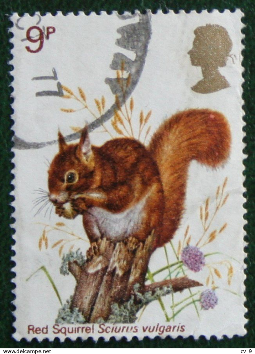 British Wildlife Squirrel Mi 747 749 1977 Used Gebruikt Oblitere ENGLAND GRANDE-BRETAGNE GB GREAT BRITAIN - Used Stamps