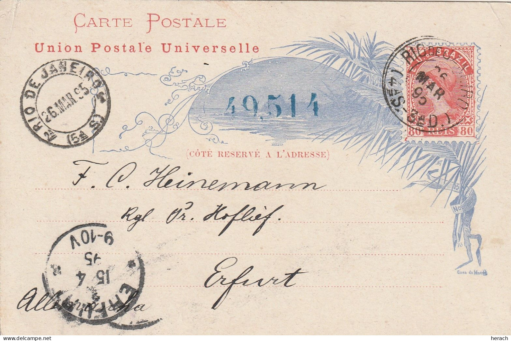 Brésil Entier Postal Illustré Pour L'Allemagne 1895 - Postwaardestukken