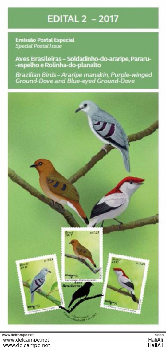 Brochure Brazil Edital 2017 02 Brazilian Birds Without Stamp - Covers & Documents