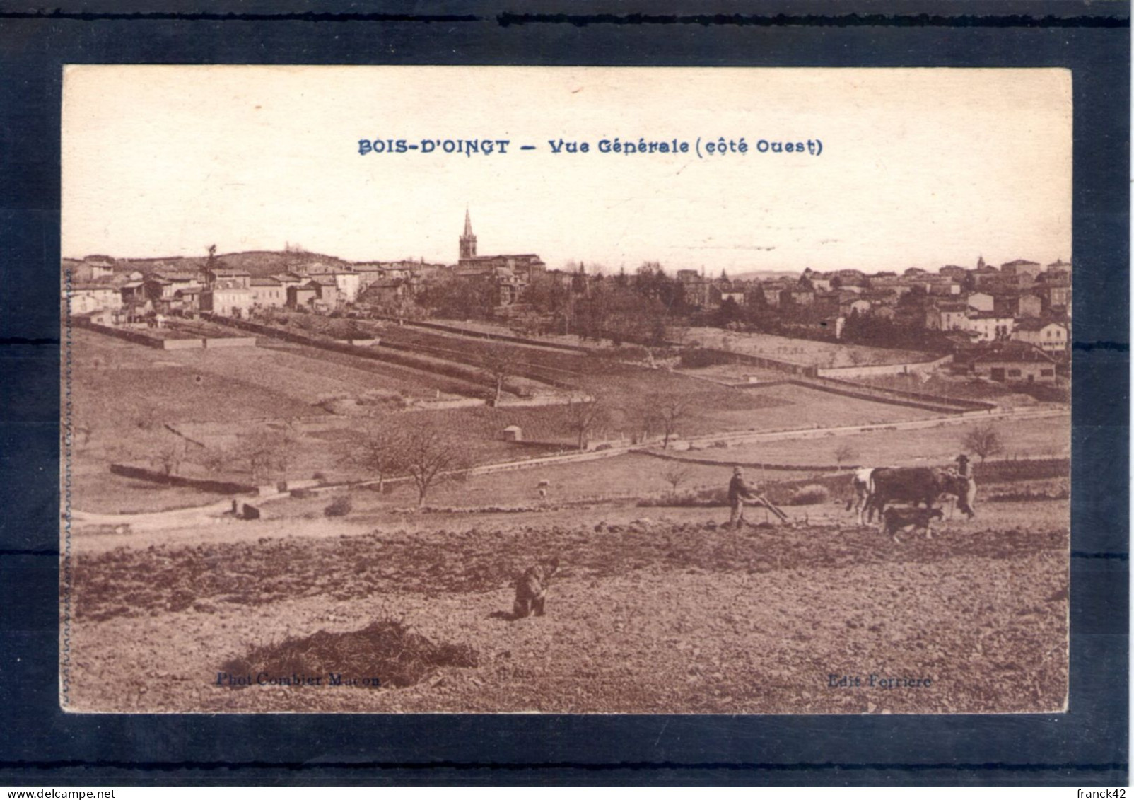 69. Le Bois D'oingt. Vue Générale Côté Ouest - Le Bois D'Oingt