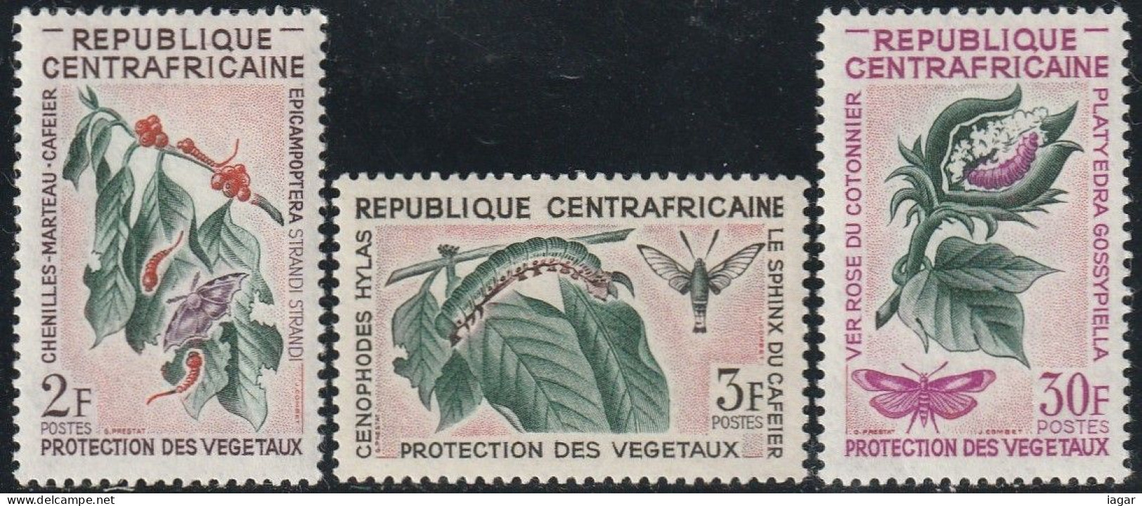 THEMATIC FLORA:  PROTECTION OF PLANTS FROM HARMFUL INSECTS   -  CENTRAFRICAINE - Legumbres