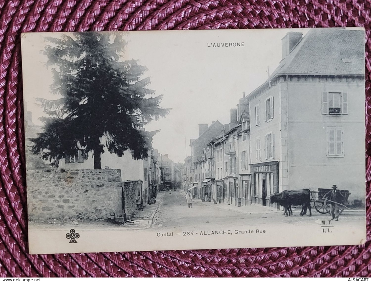 Allanches Grande Rue , Pharmacie - Allanche