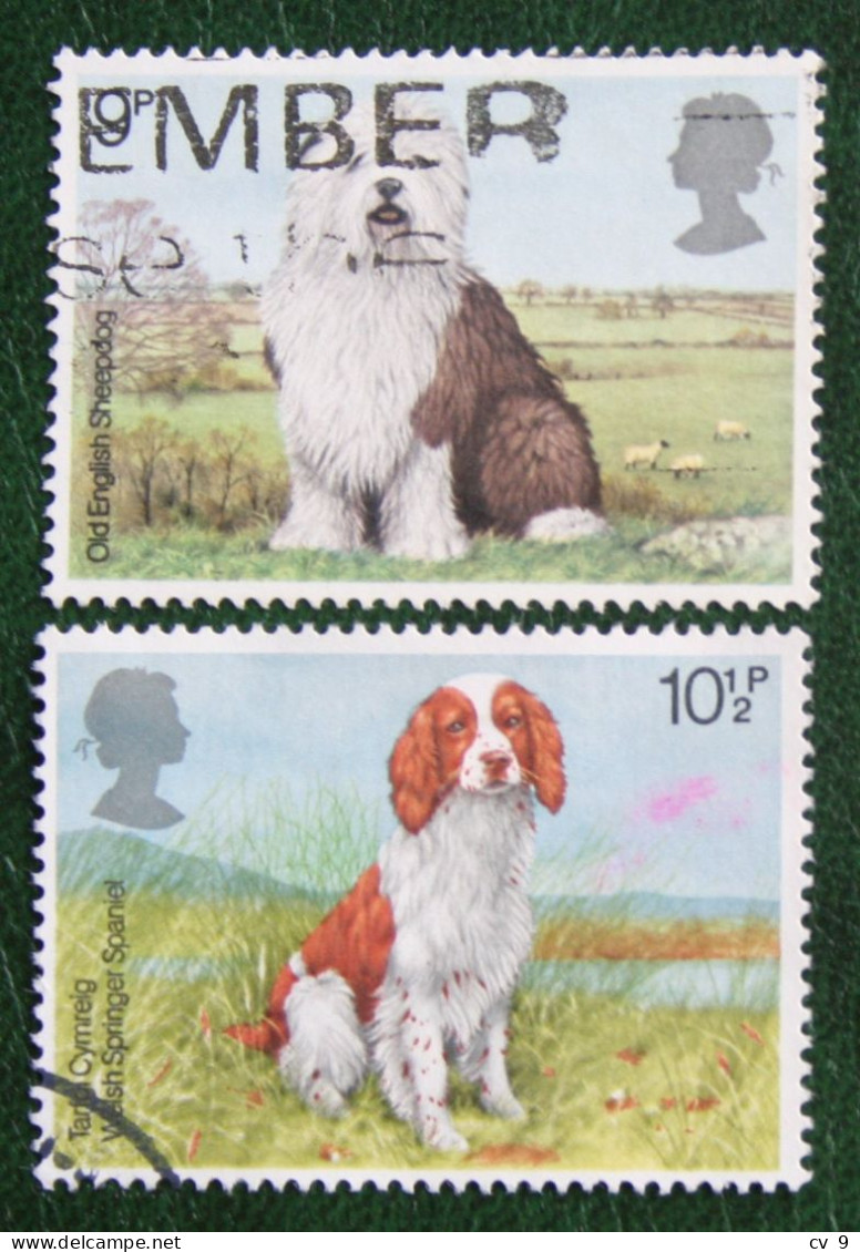 Dog Hund Chien Hond (Mi 781-782) 1979 Used Gebruikt Oblitere ENGLAND GRANDE-BRETAGNE GB GREAT BRITAIN - Usati