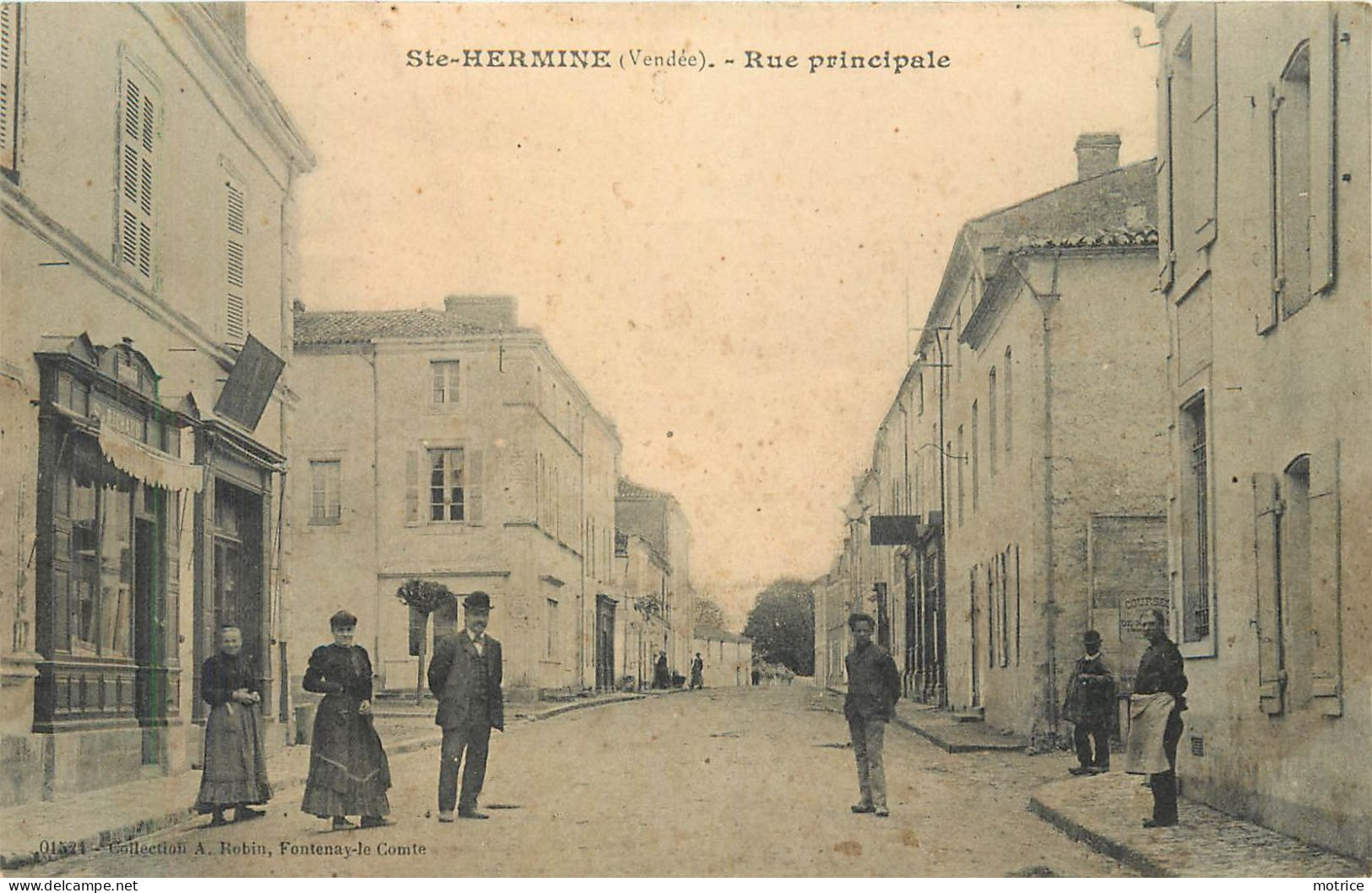 SAINTE HERMINE - Rue Principale. - Sainte Hermine