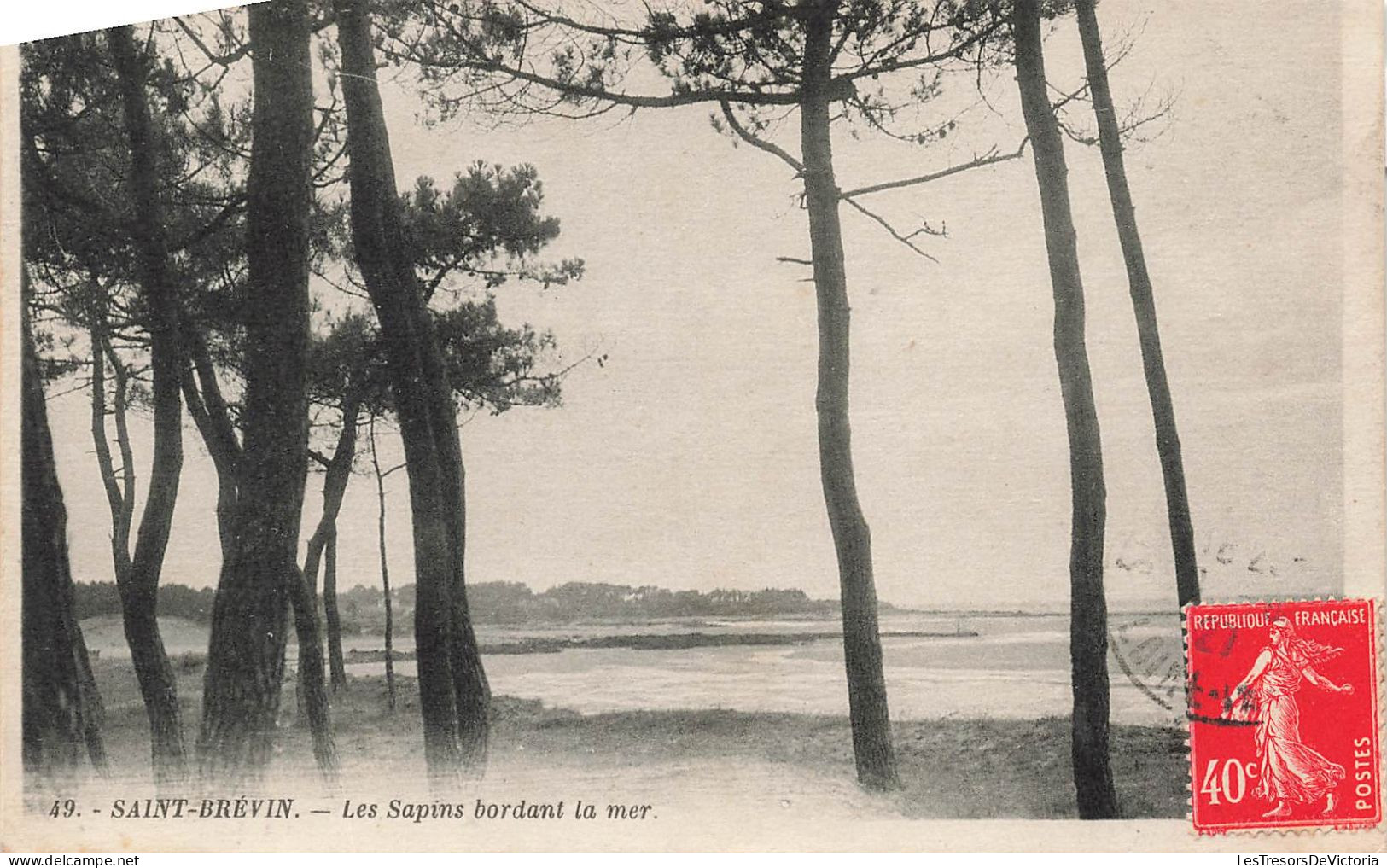 FRANCE - Saint Brévin - Les Sapins Bordant La Mer - Carte Postale Ancienne - Saint-Brevin-l'Océan