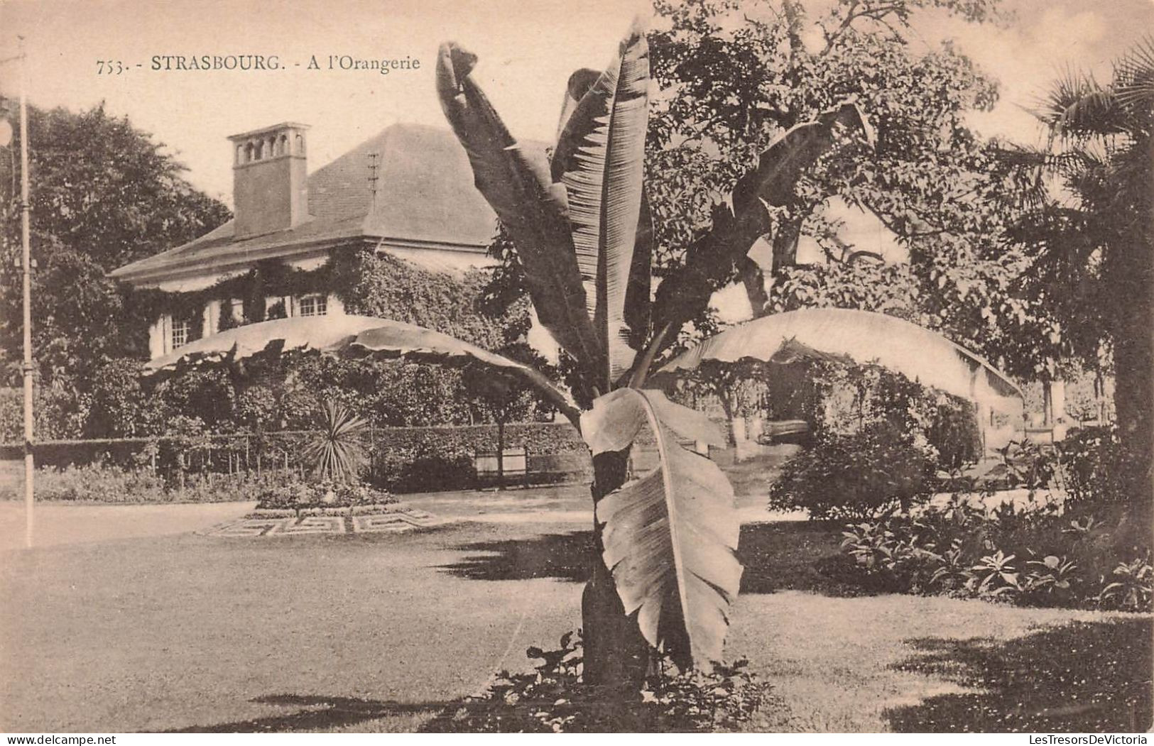 FRANCE - Strasbourg - A L'orangerie - Carte Postale Ancienne - Straatsburg