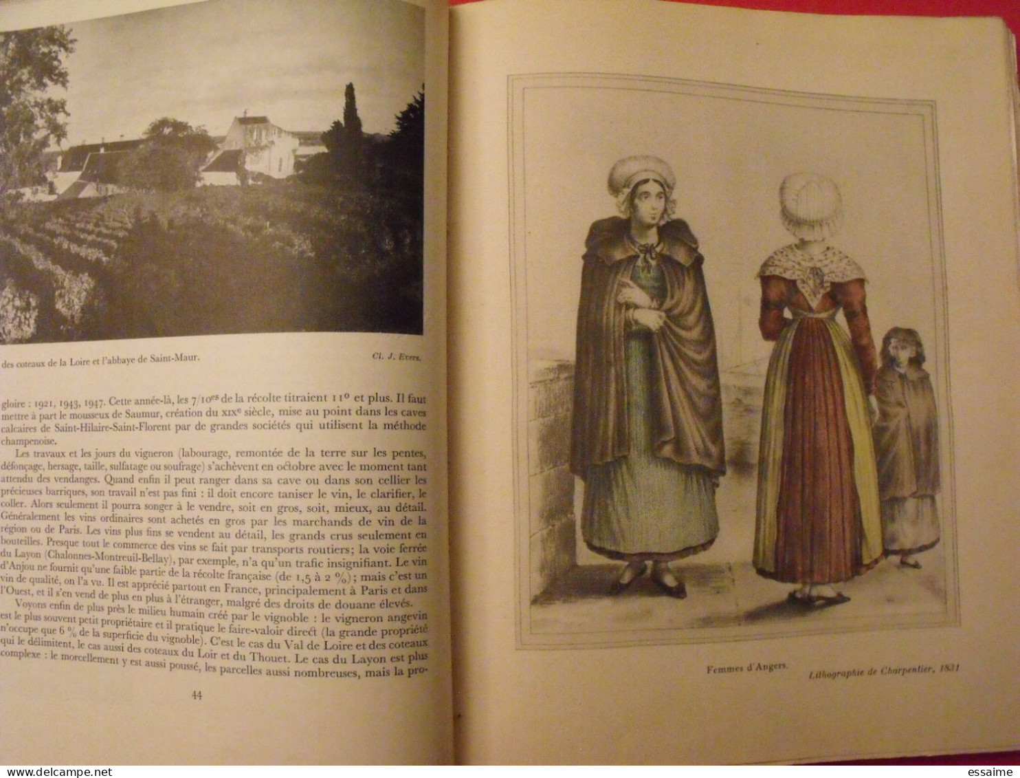 visages de l'Anjou. Horizons de France. Wagret Boussard Levron aillard-Bourdillon. 1951