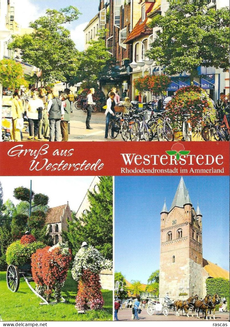 CPM - ALLEMAGNE - BASSE SAXE - WESTERSTEDE - RHODODENDRONSTADT IM AMMERLAND - Westerstede