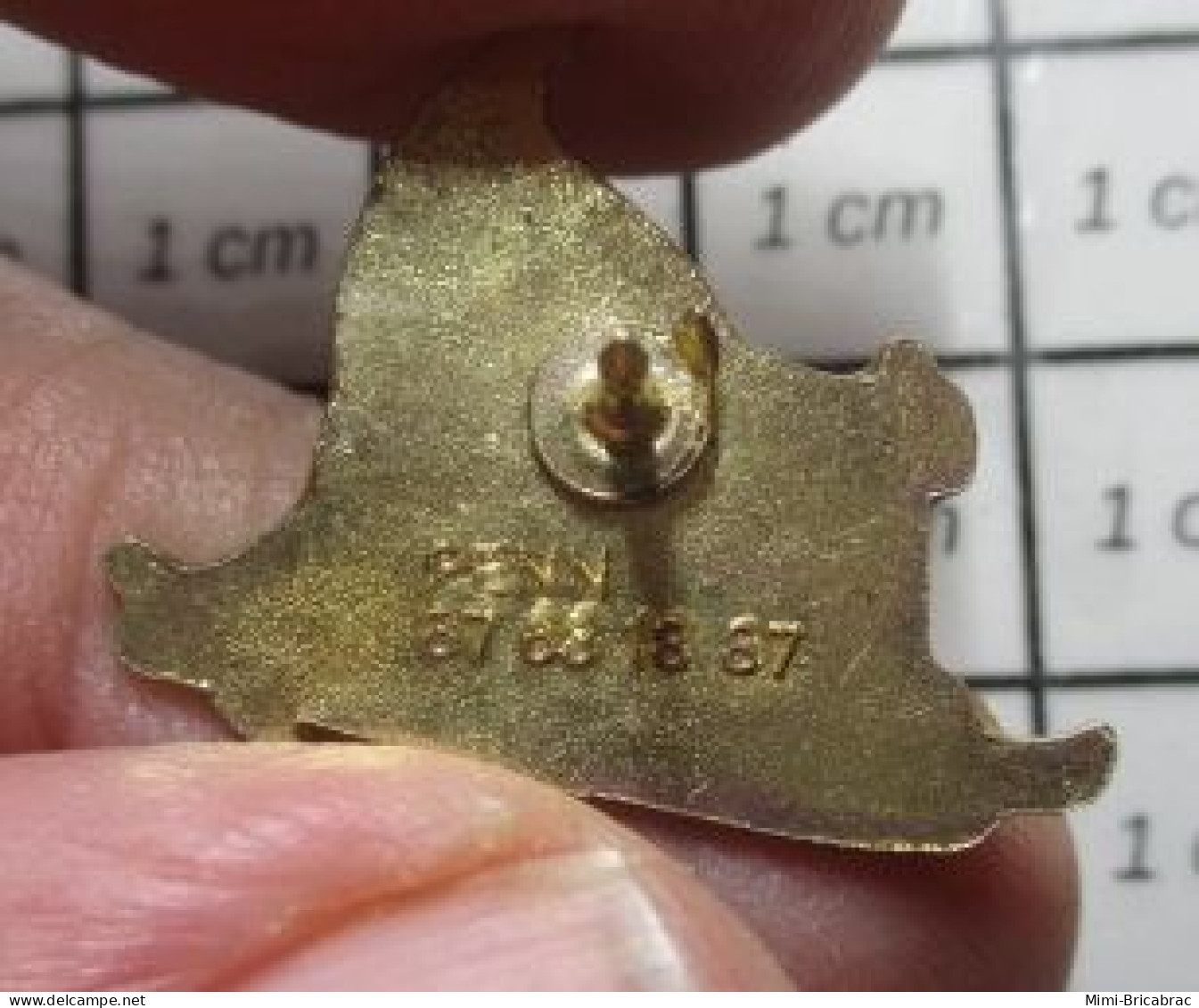 516C Pin's Pins : Rare Et Belle Qualité / MEDICAL / DON DU SANG FFDSB GOUTTE DE SANG FAISANT DU SKI Vas Y Schumi - Médical