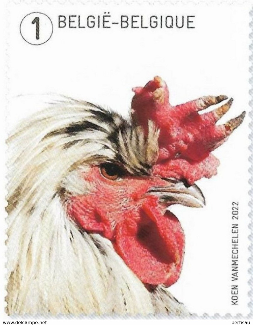 De Kip Van Koen Vanmechelen -2022 - Unused Stamps