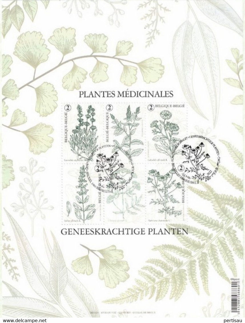 Geneeskrachtige Planten Uitgiftestempel 2022 - Used Stamps