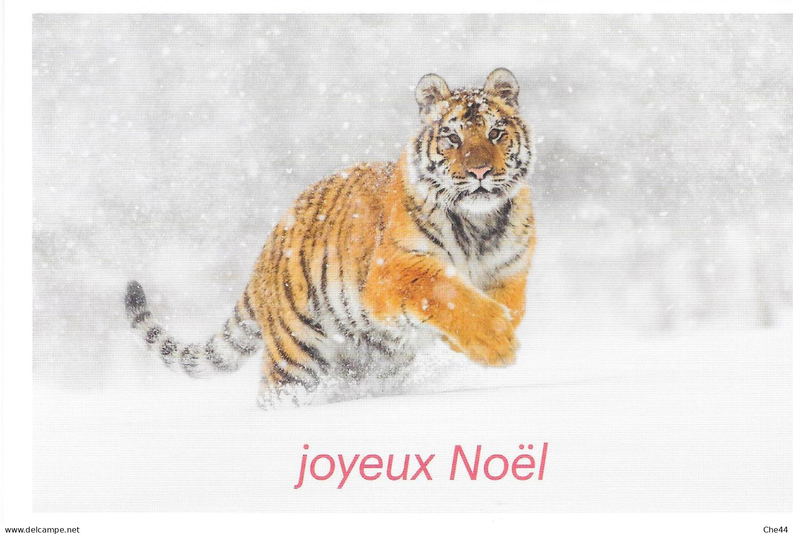 Carte Postale : Tigre. (Voir Commentaires) - Tigri