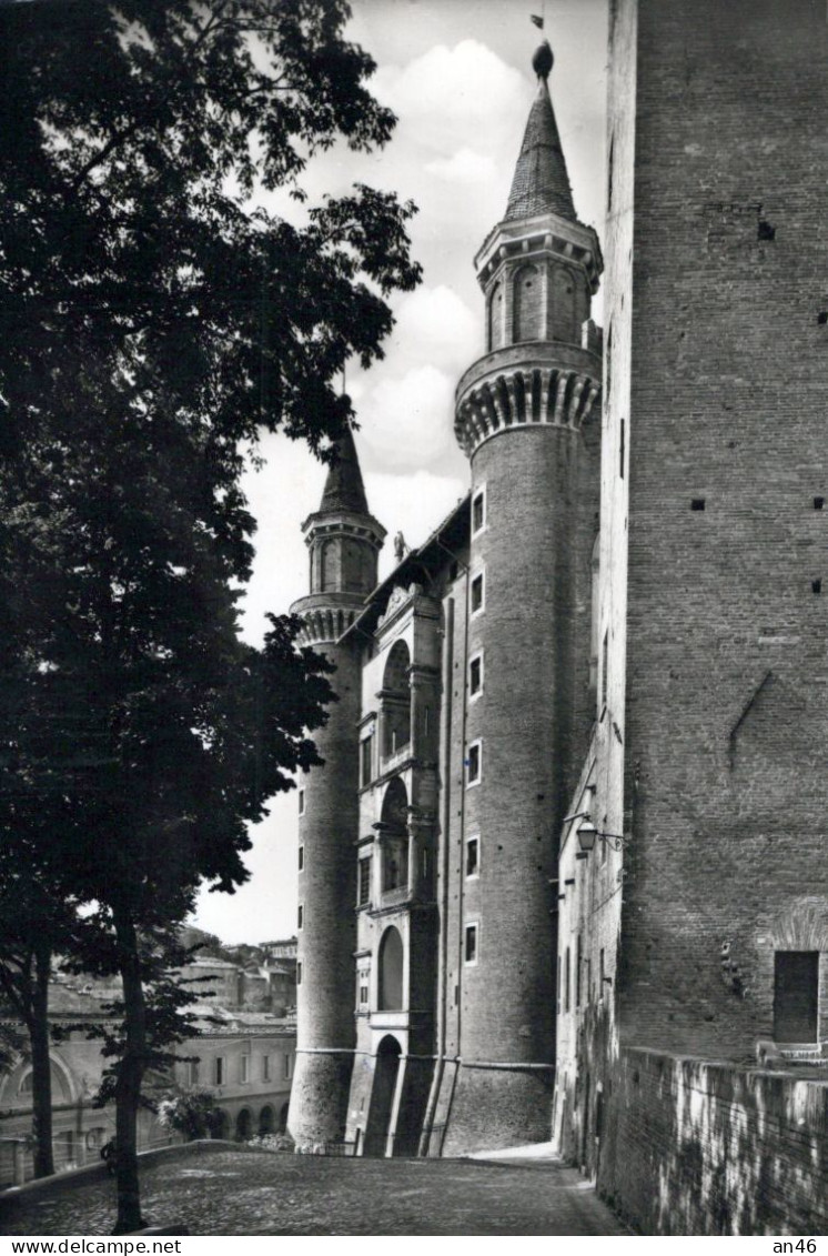 URBINO - Palazzo Ducale - Vgt. 1962 - Urbino